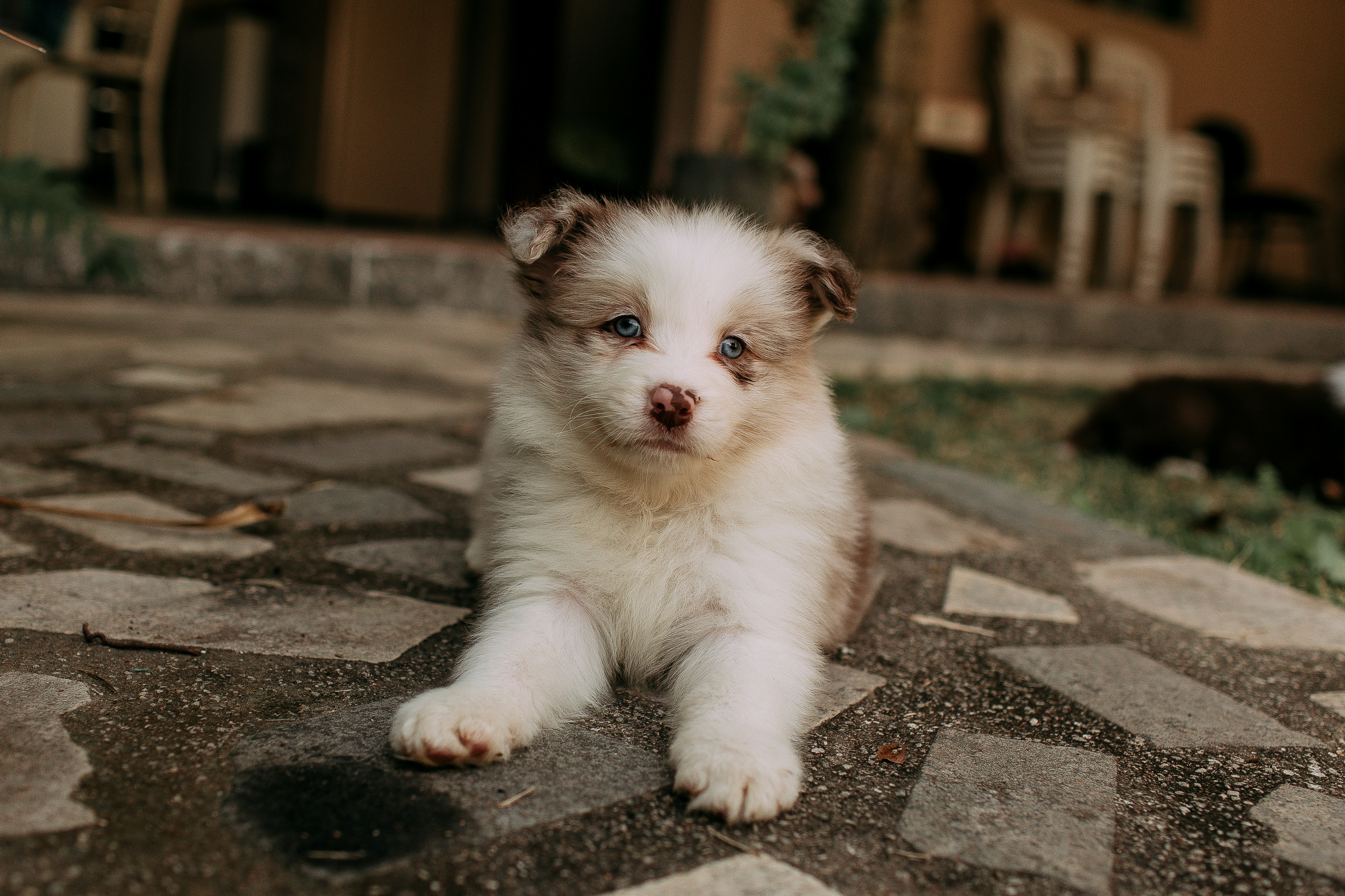 Photo by helenalopesph