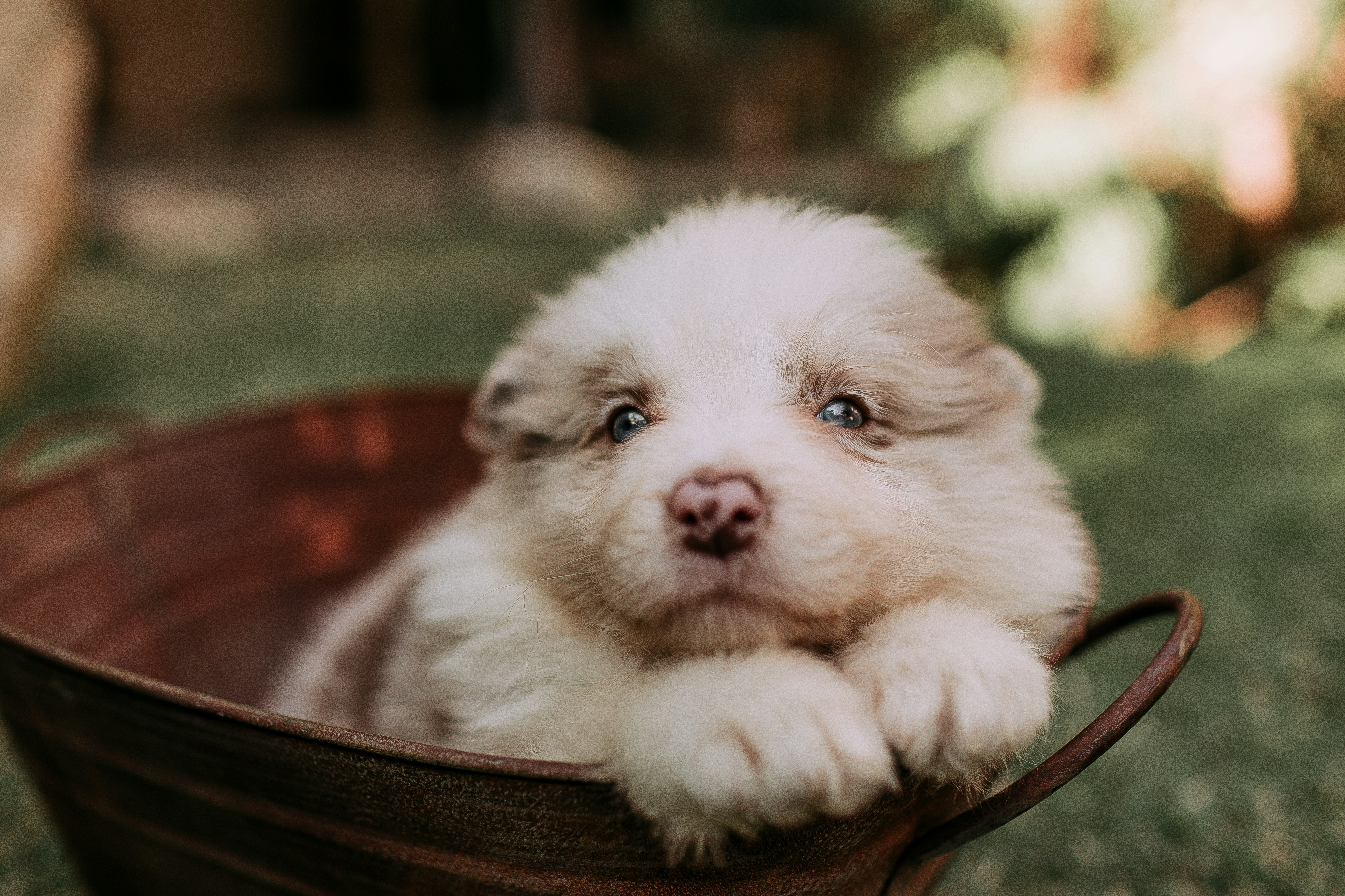 Photo by helenalopesph