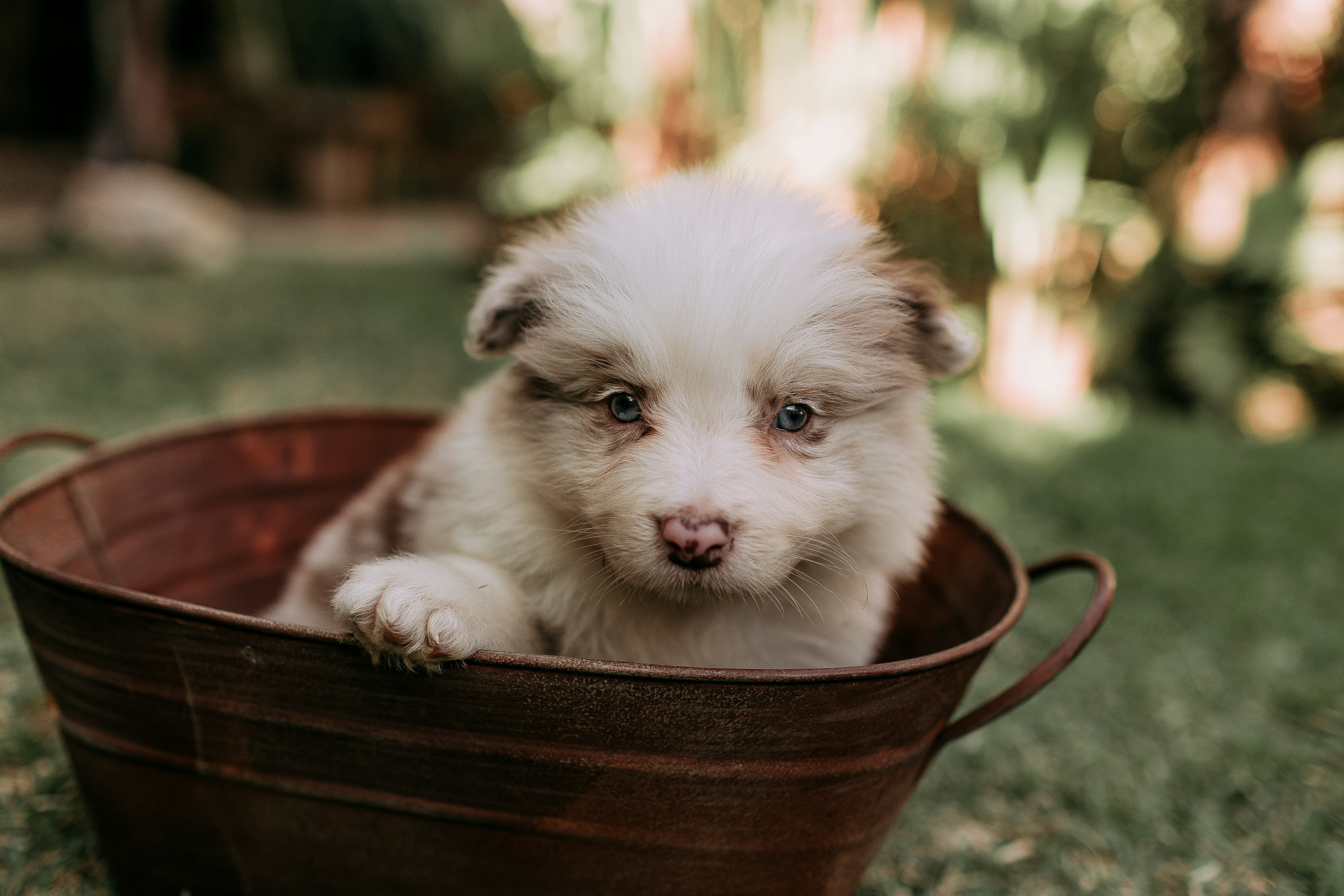 Photo by helenalopesph