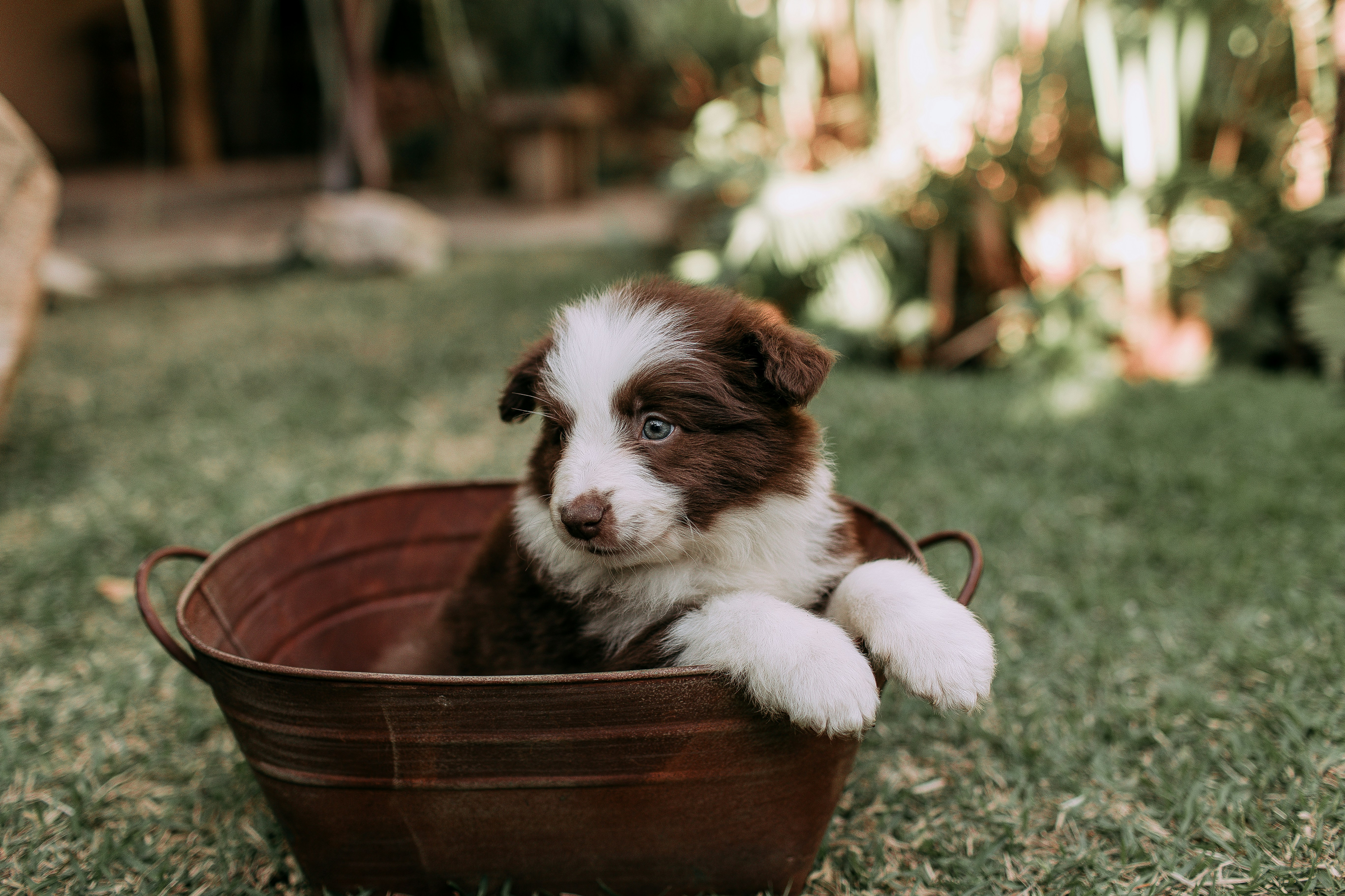 Photo by helenalopesph