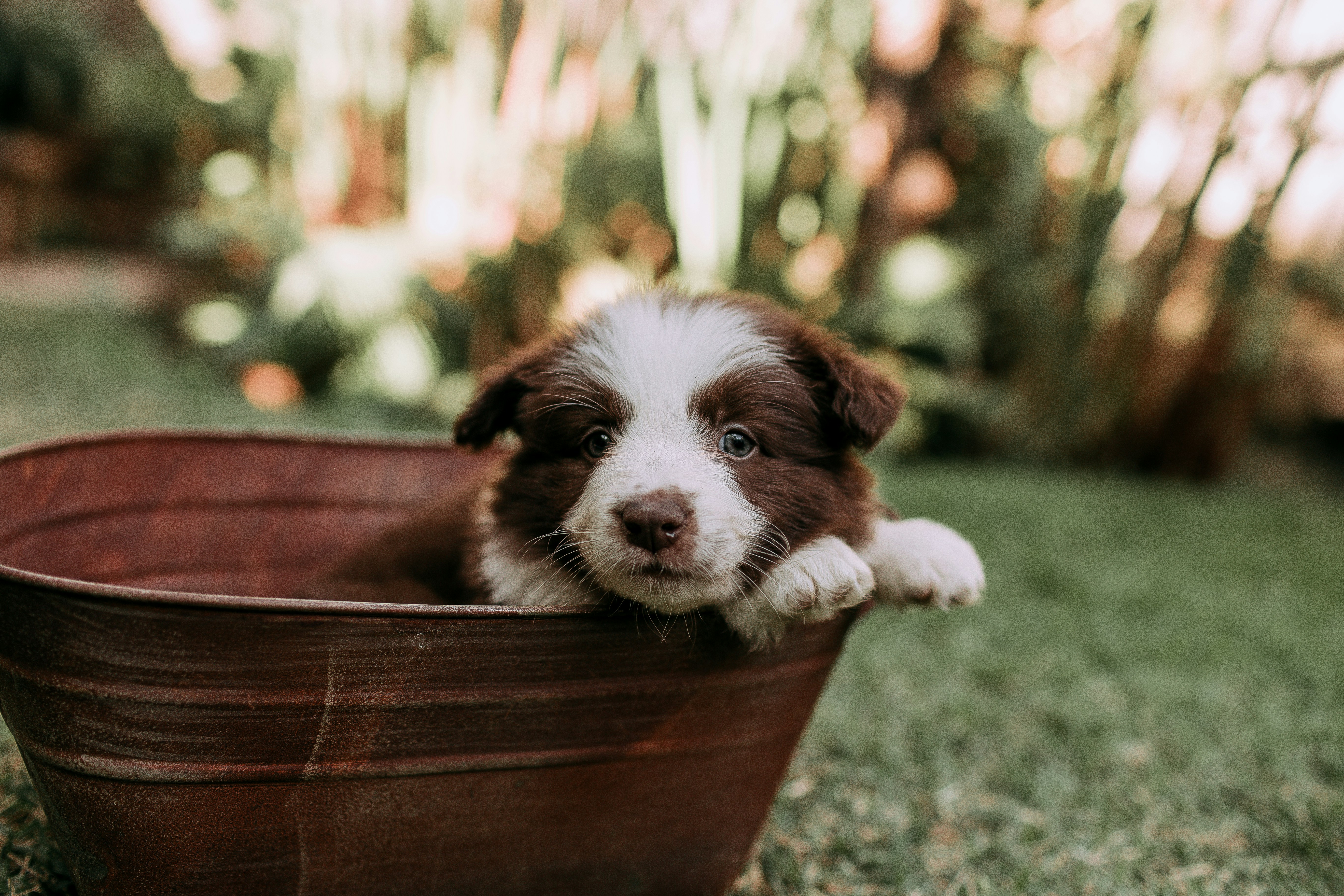 Photo by helenalopesph