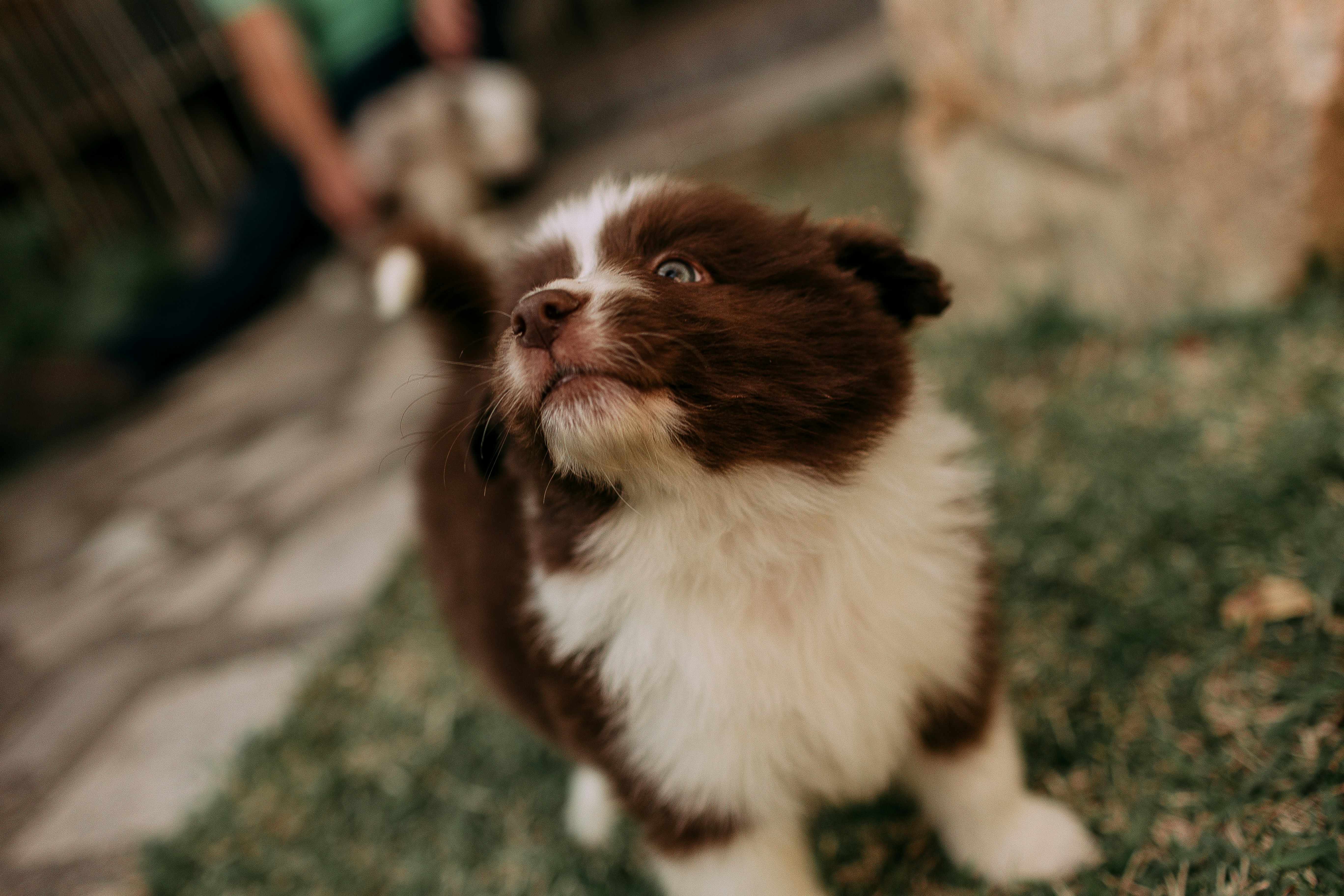 Photo by helenalopesph