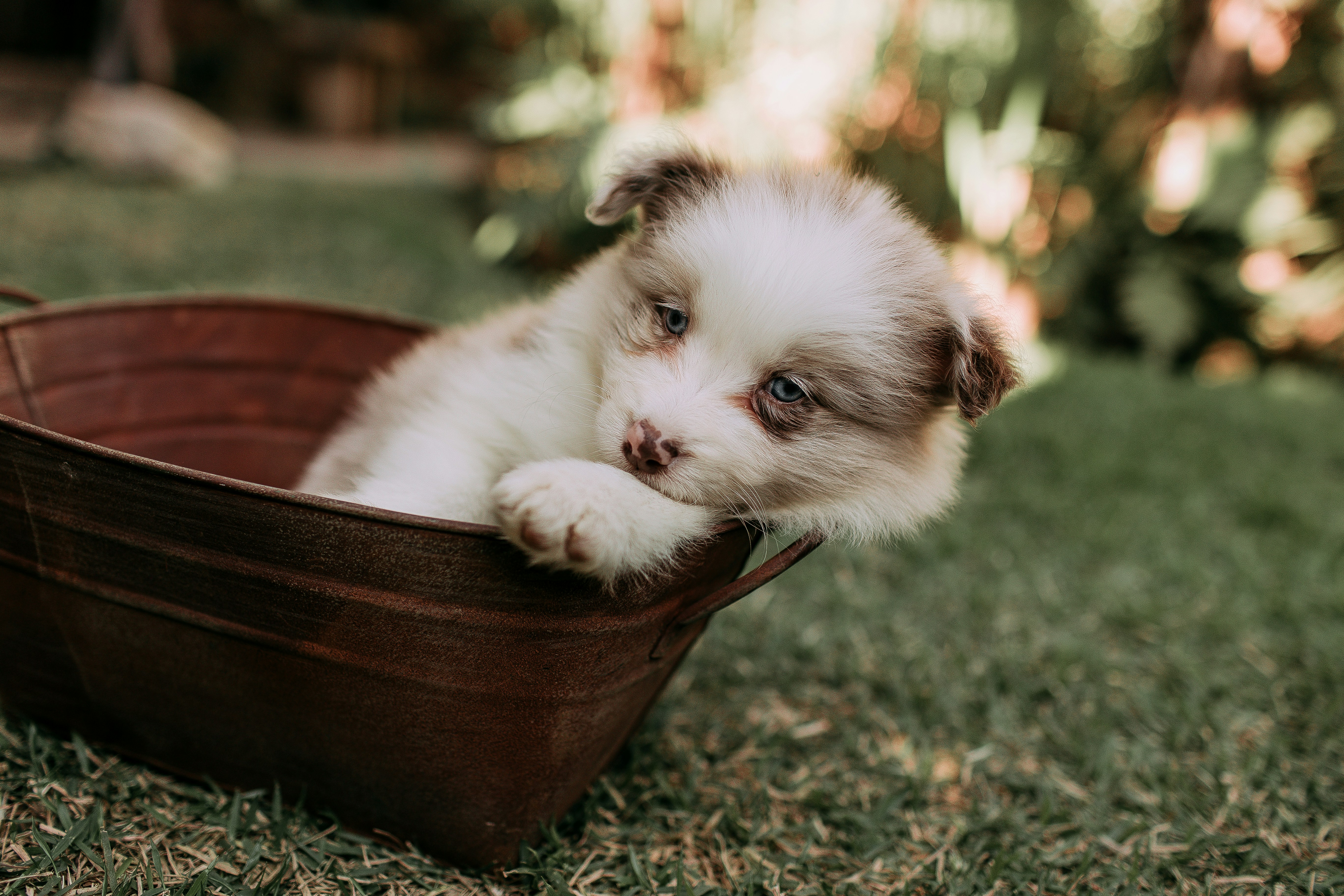 Photo by helenalopesph