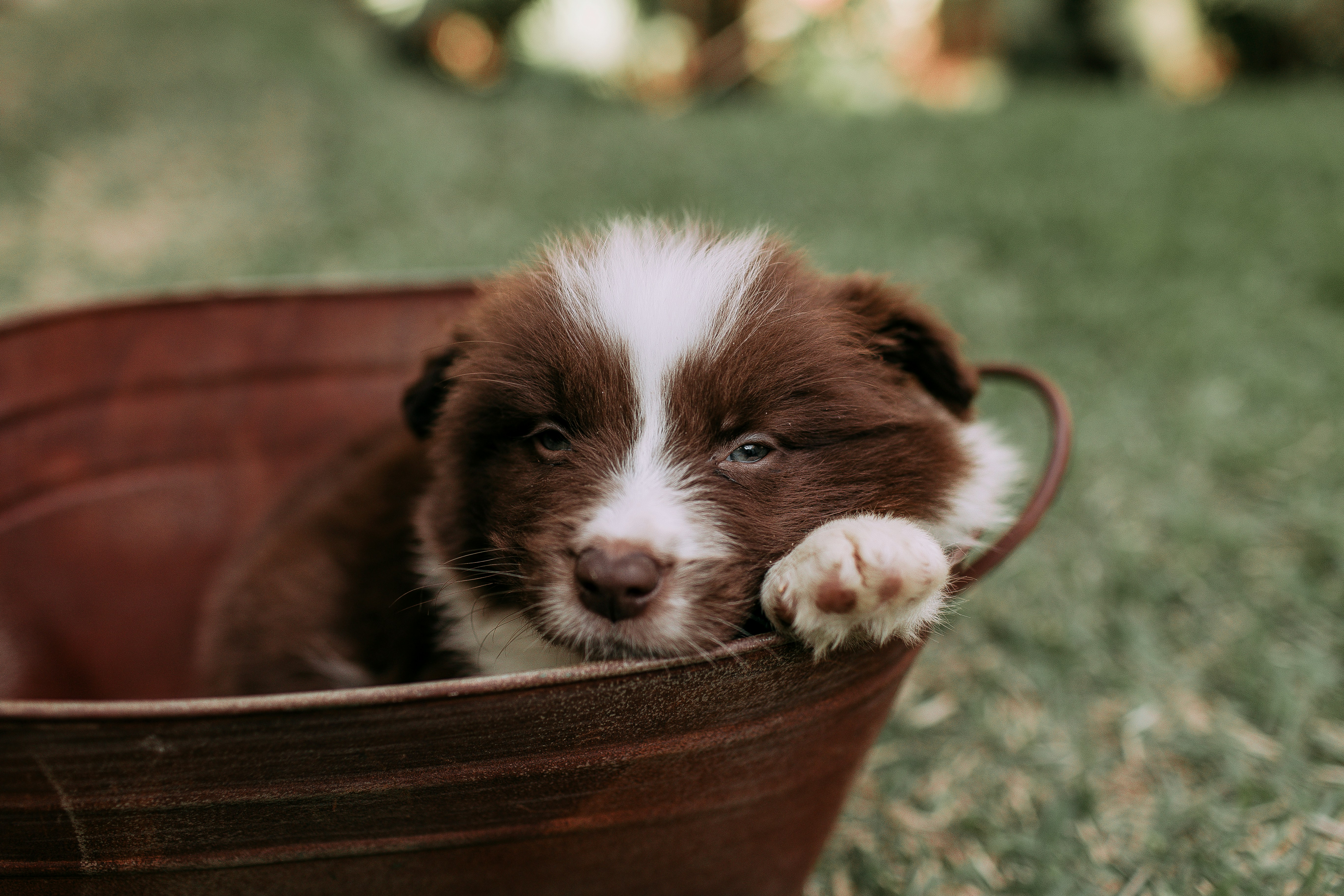 Photo by helenalopesph