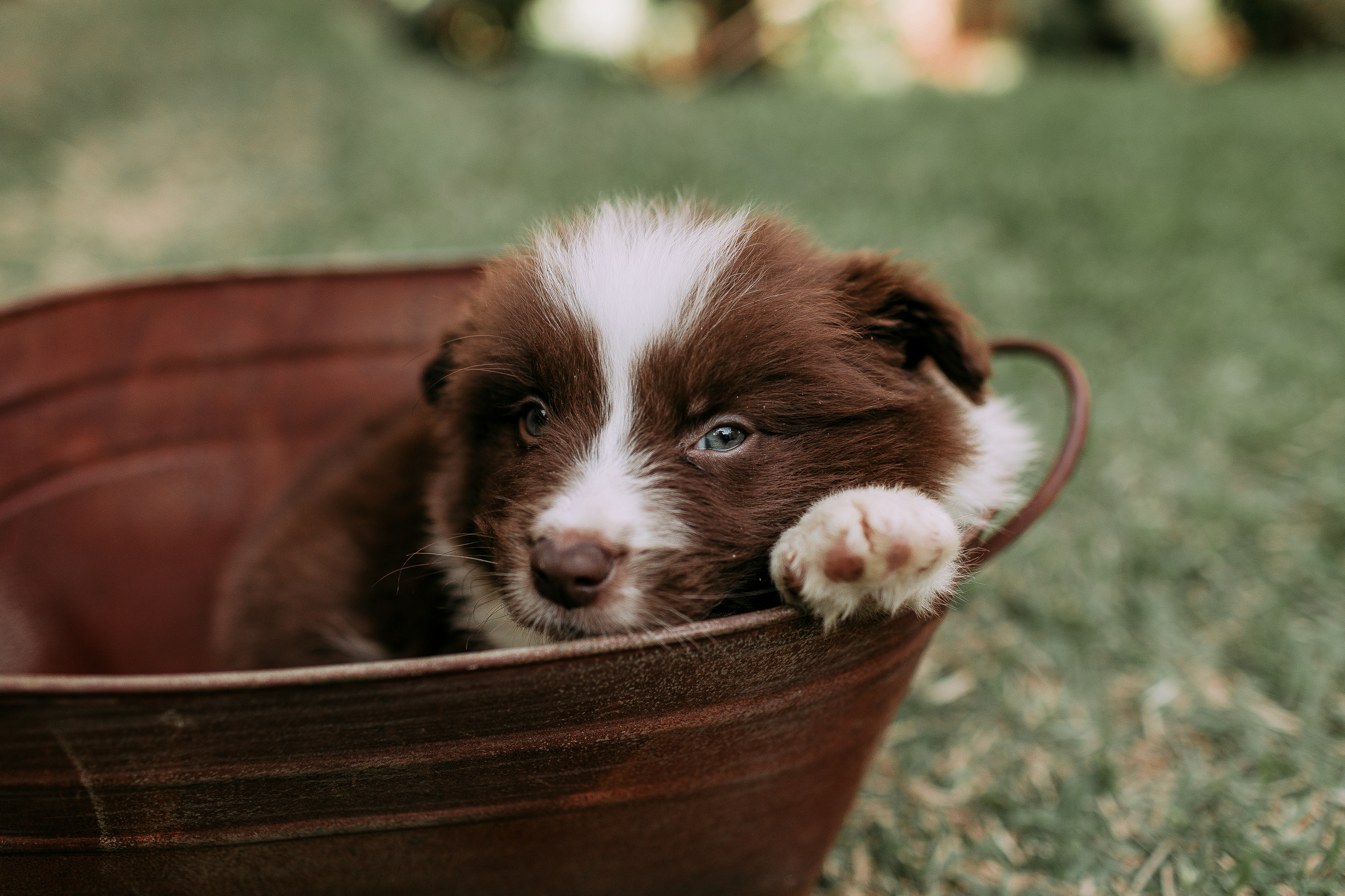 Photo by helenalopesph