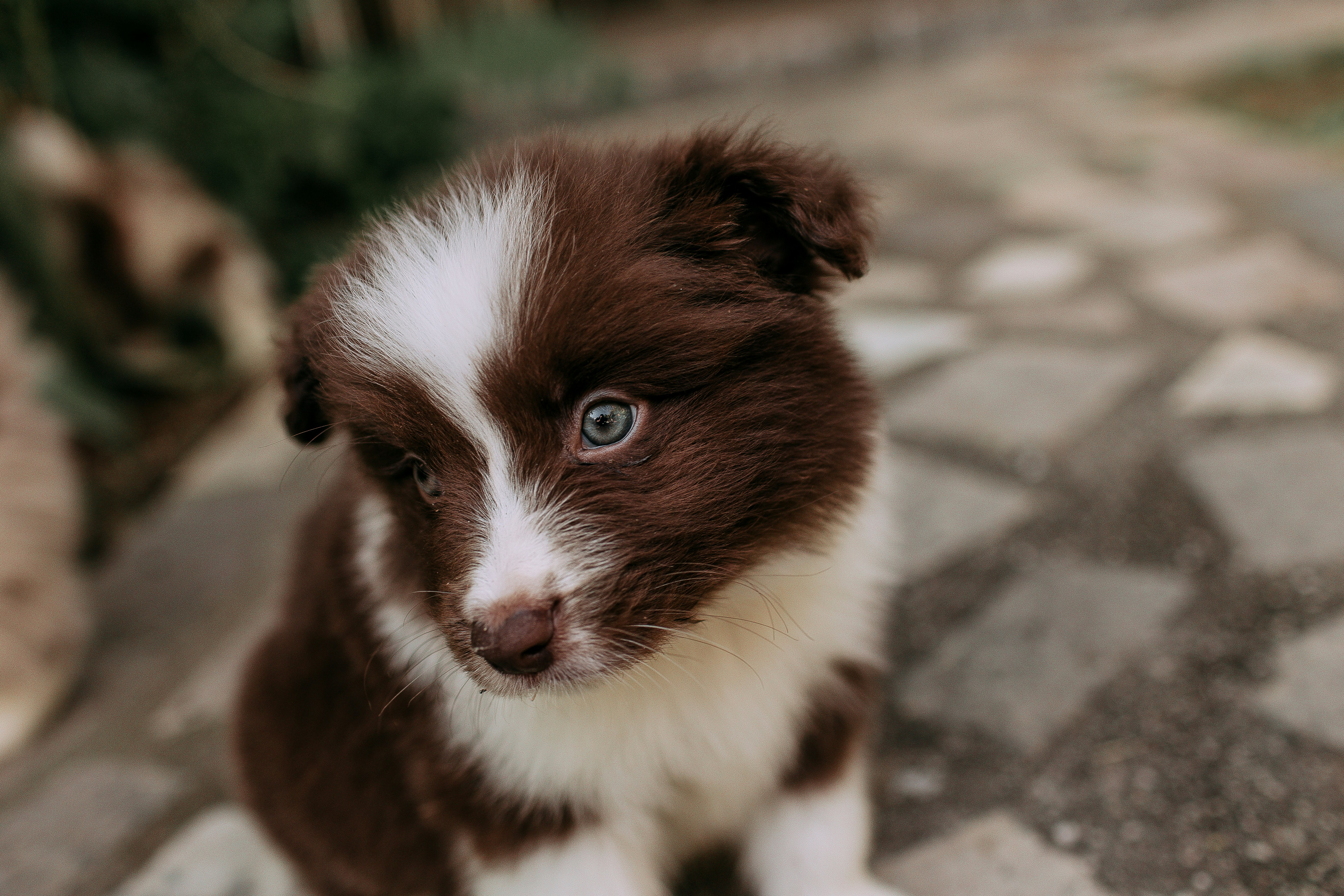 Photo by helenalopesph