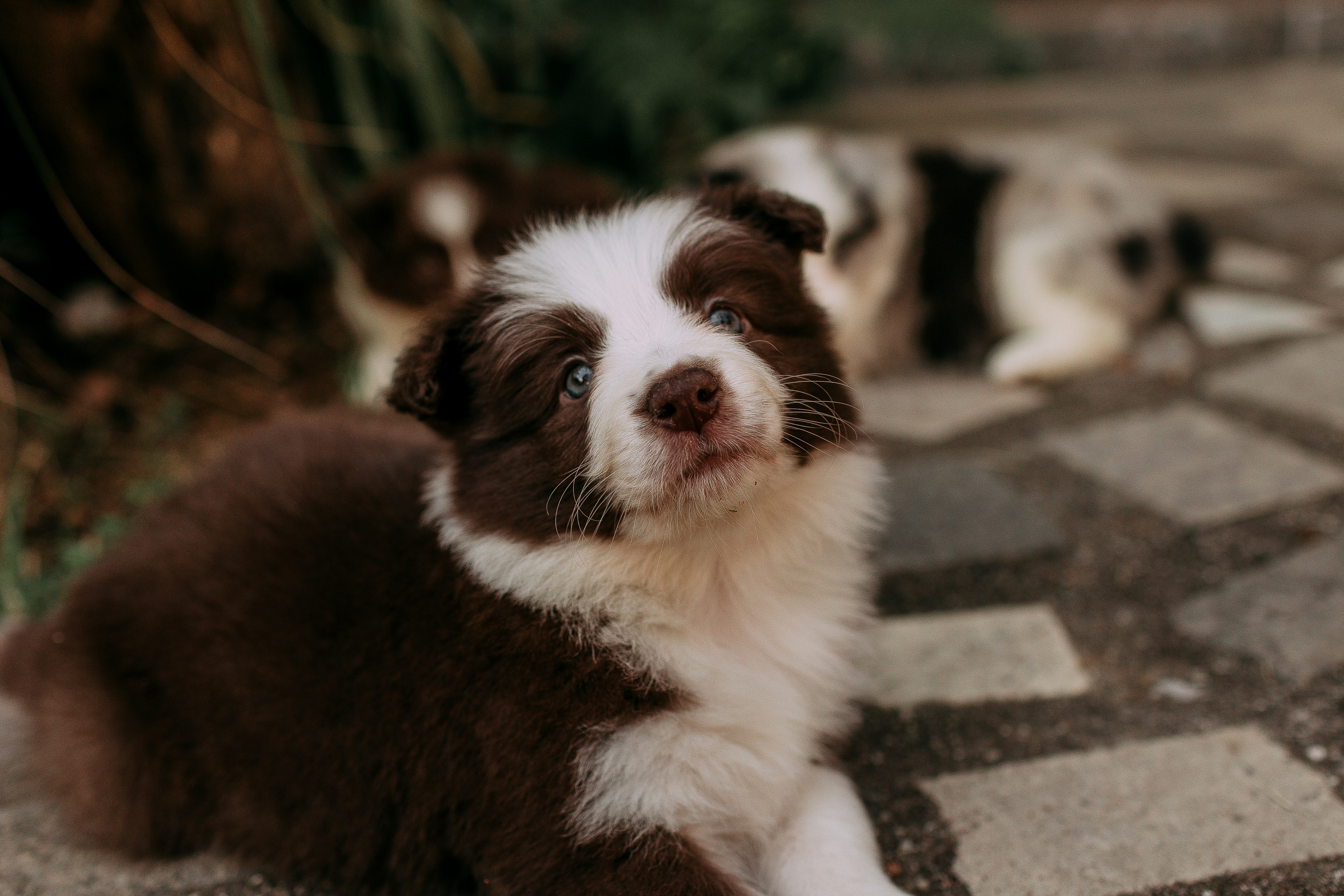 Photo by helenalopesph