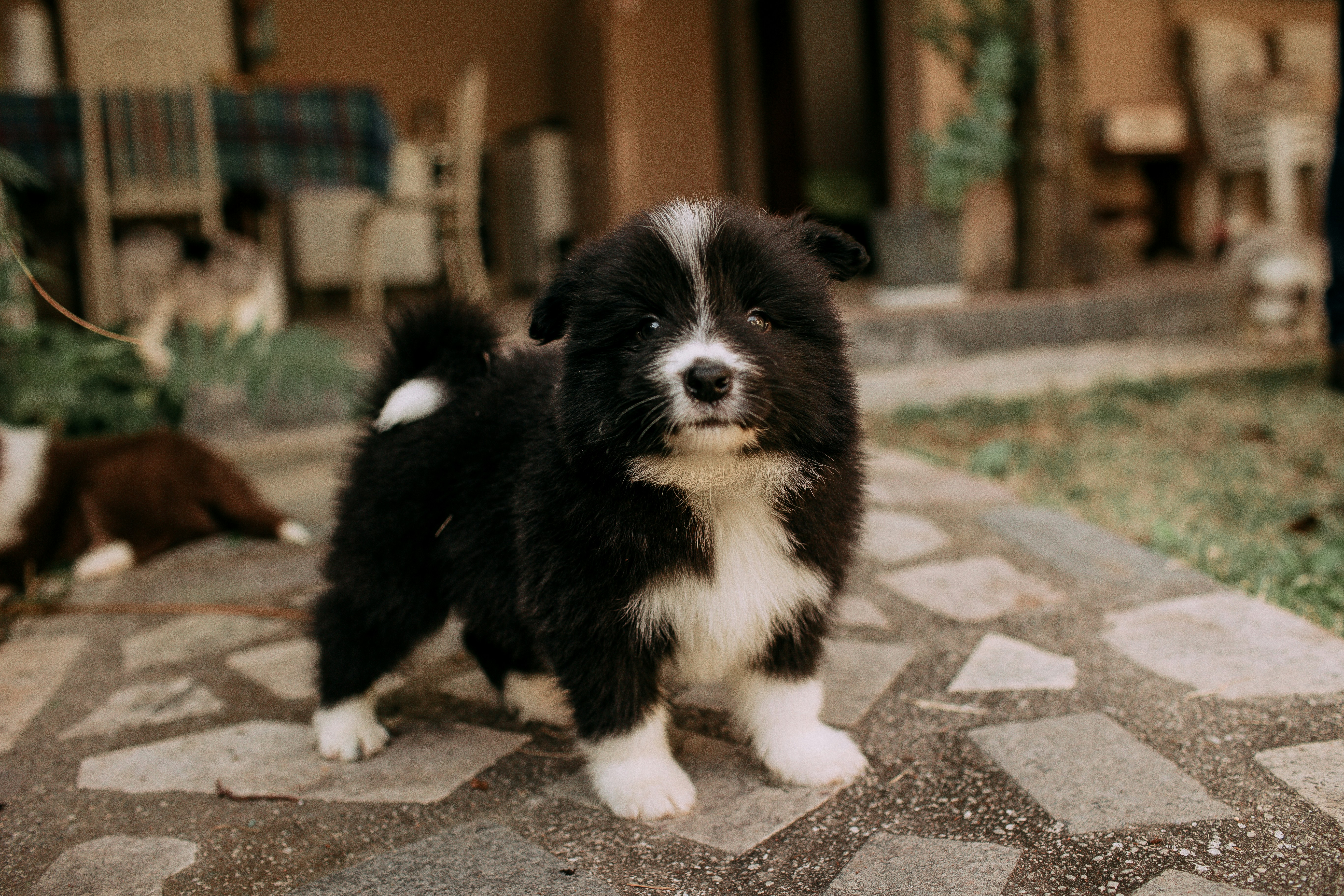 Photo by helenalopesph