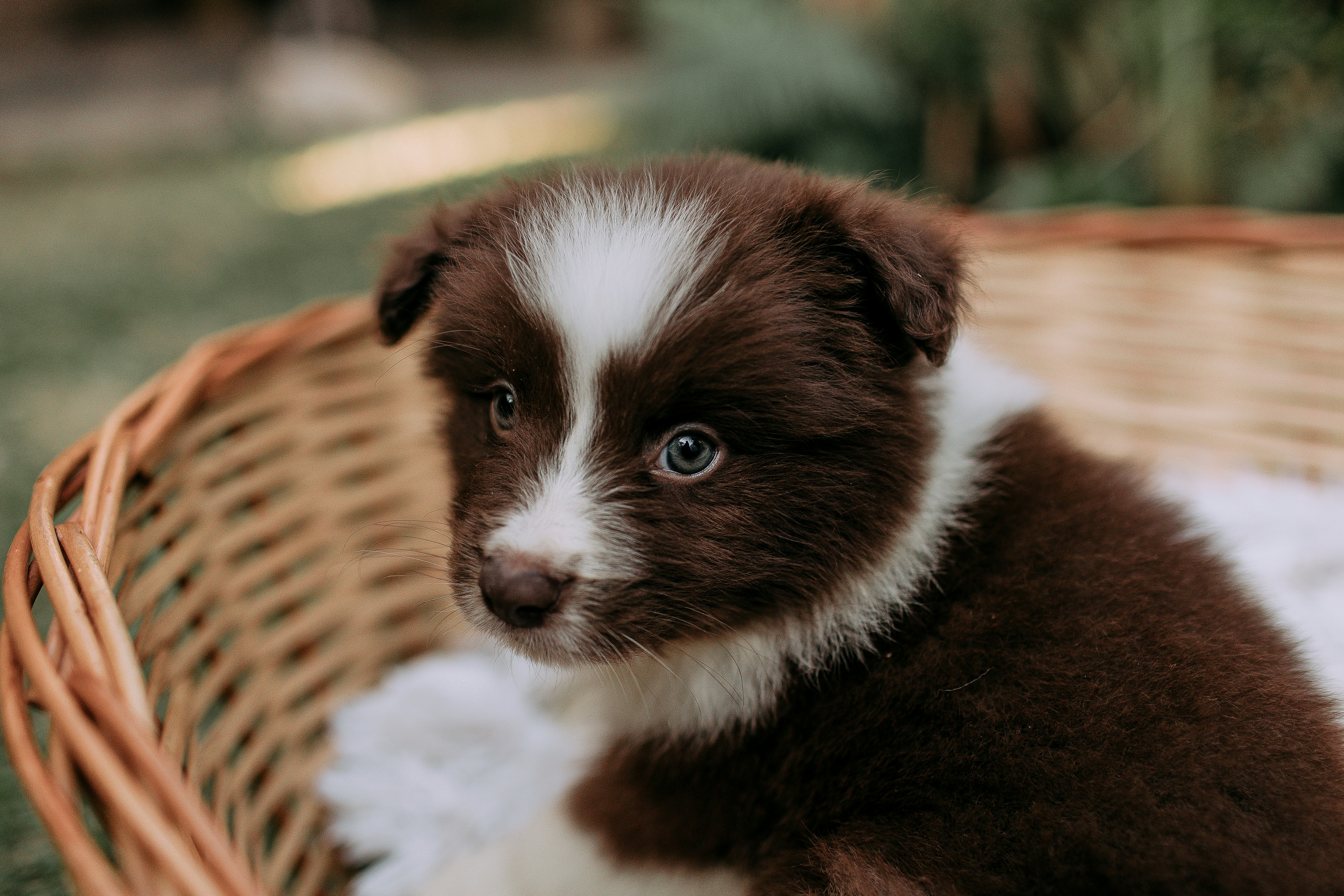 Photo by helenalopesph