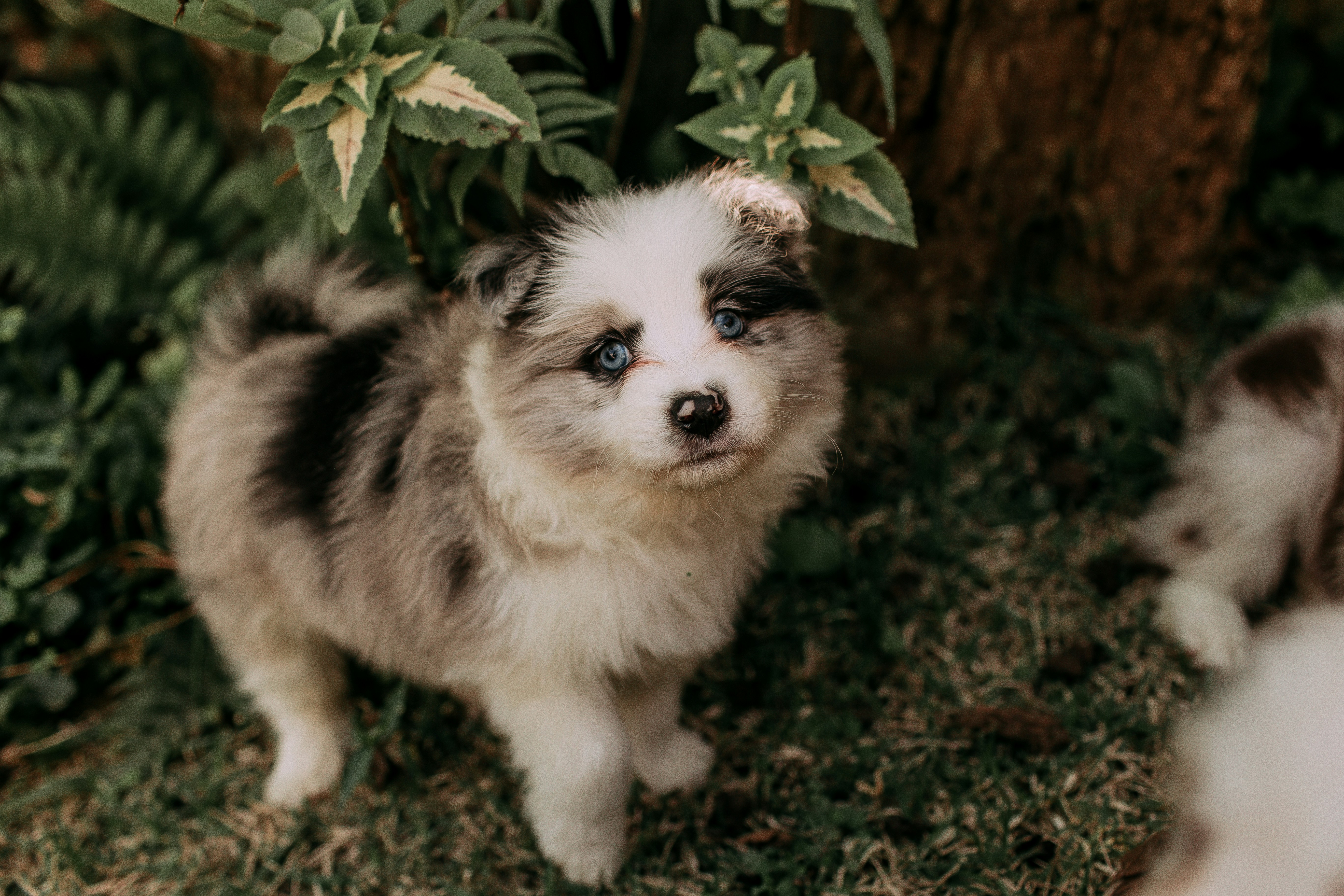 Photo by helenalopesph