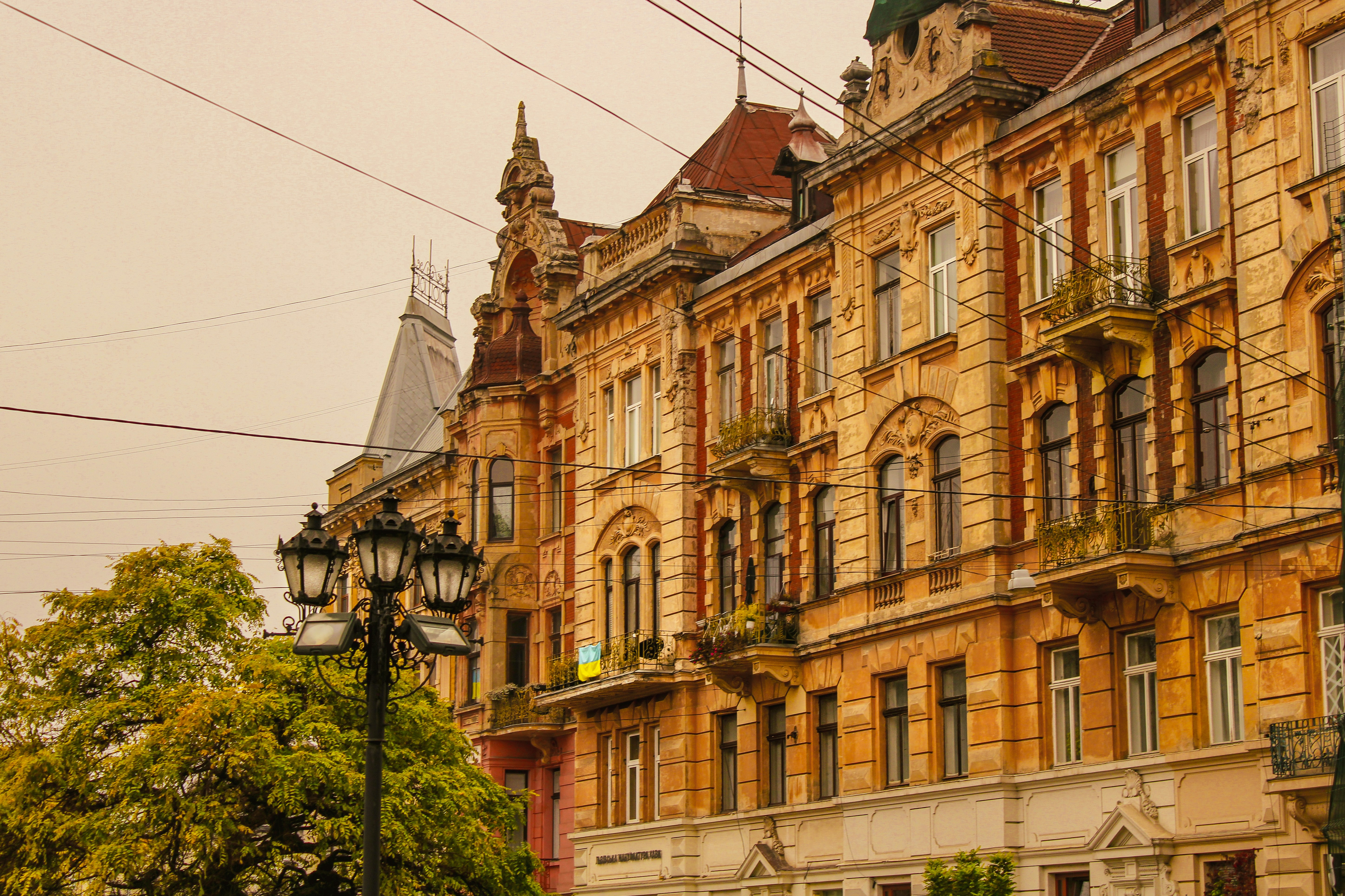 Photo by mineral_of_demon