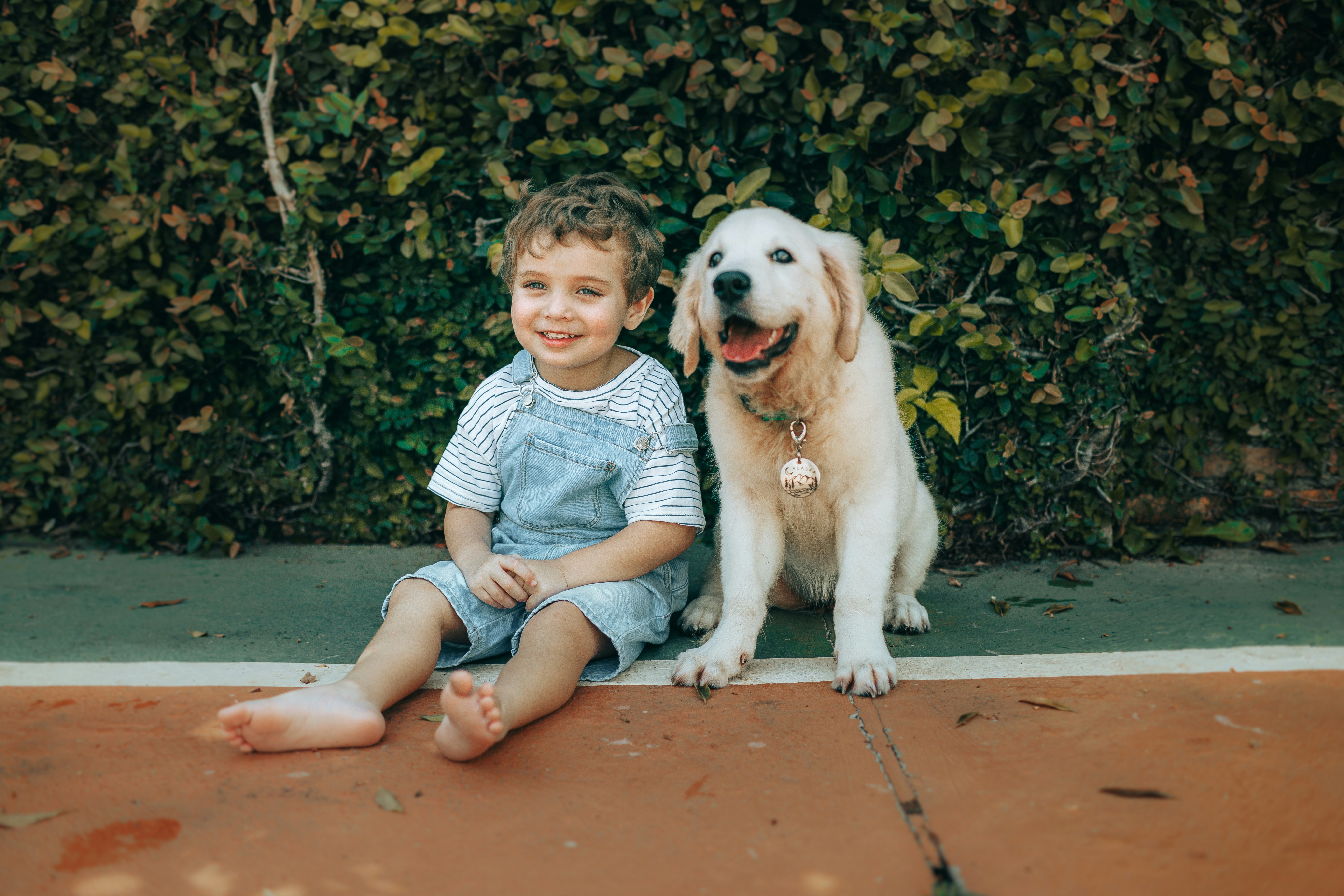 A young boy and a golden retriever puppy sit together.