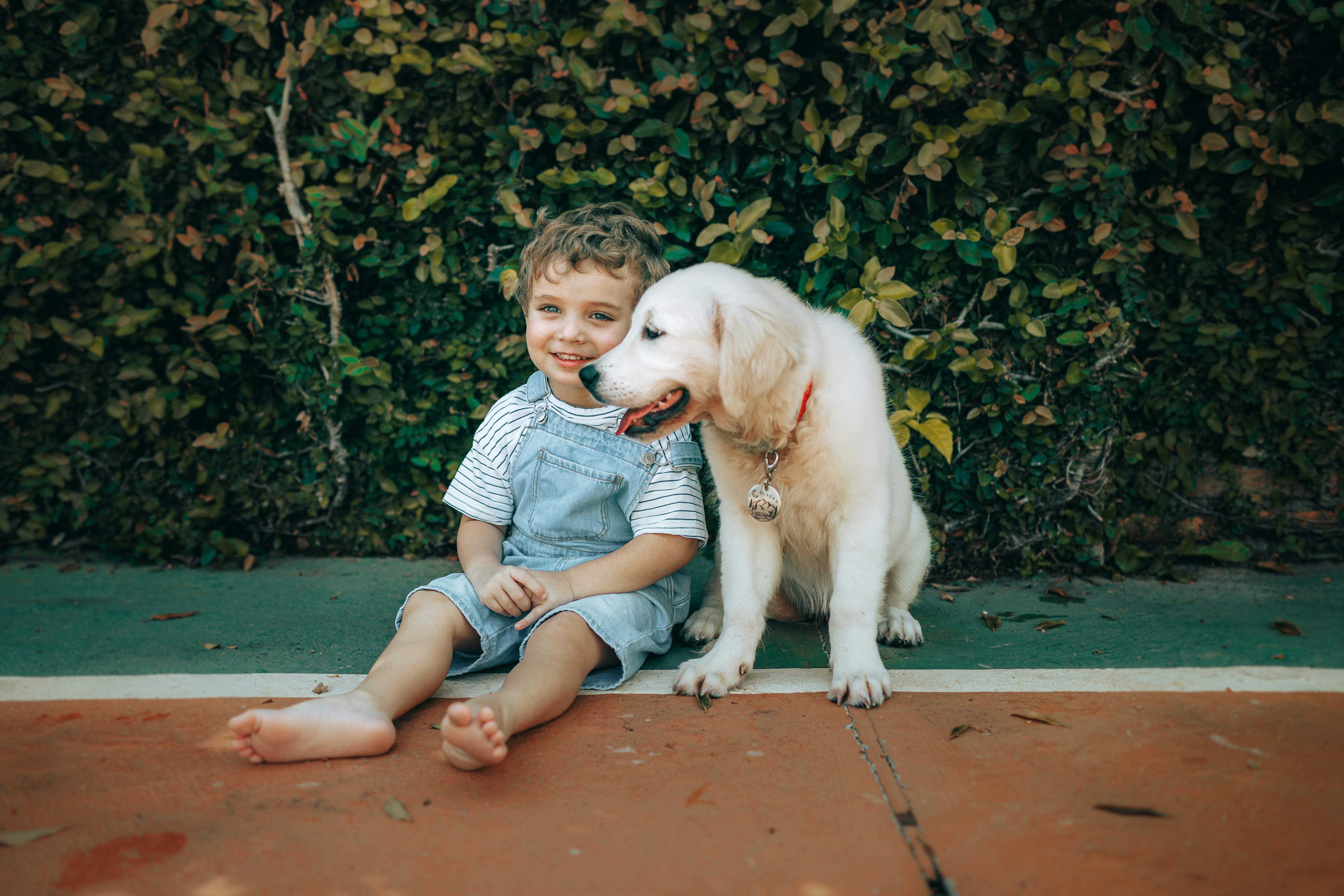 A young boy and a golden retriever puppy sit together.