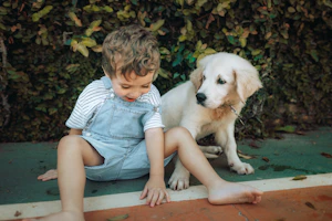 A young boy and a golden retriever puppy sit together.