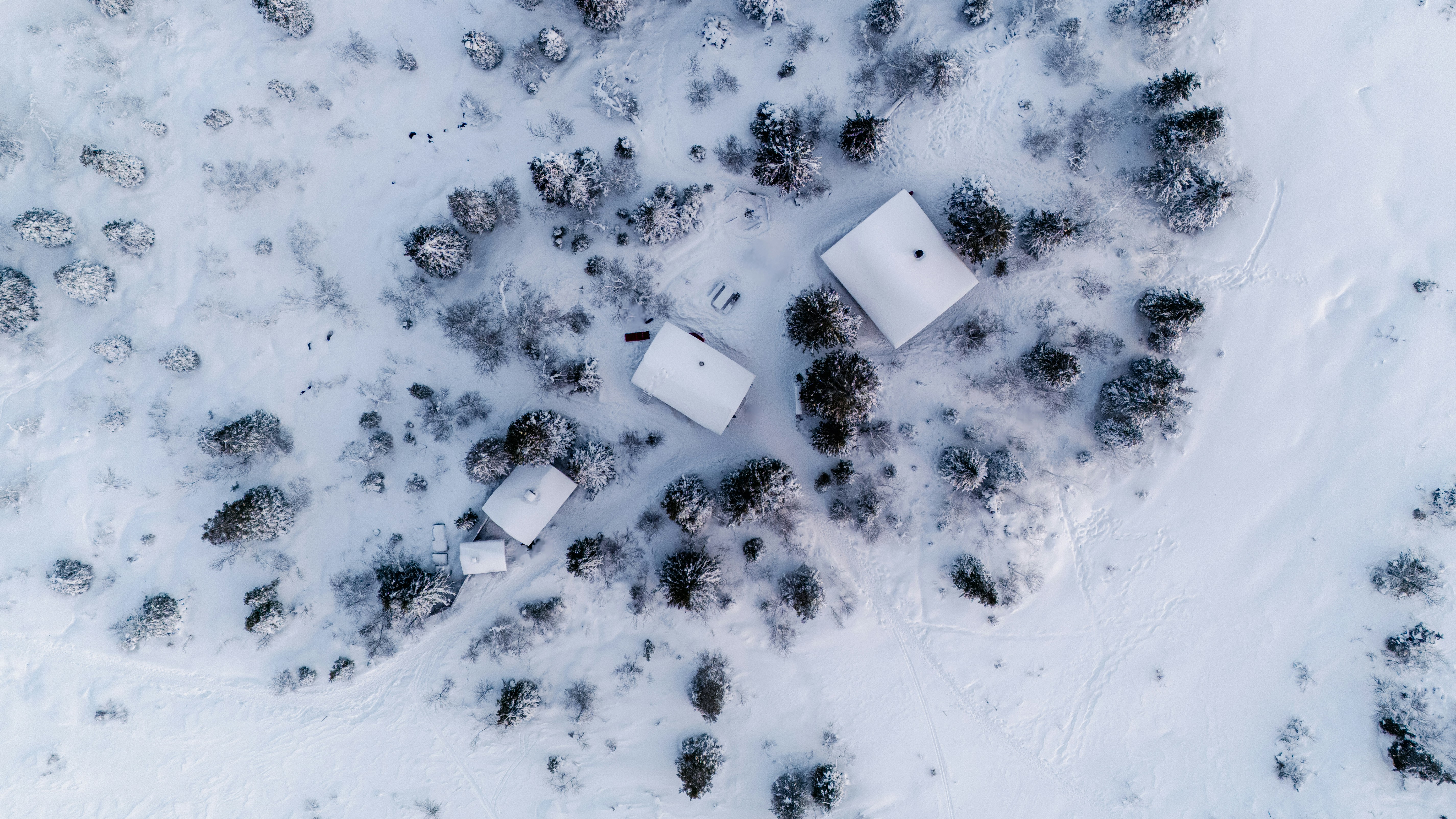 Luftaufnahme schneebedeckter Hütten in einem Winterwald.