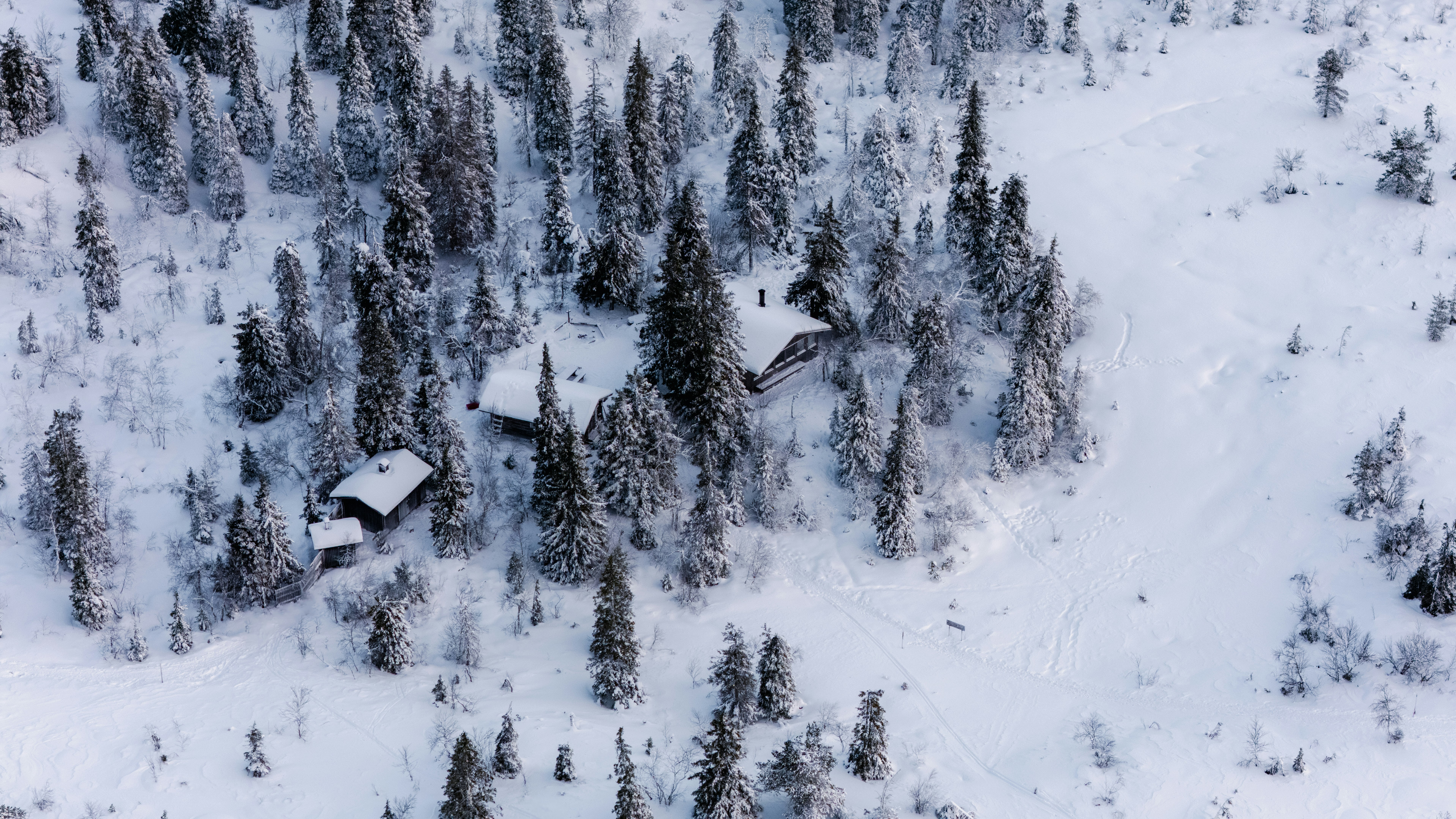 Schneebedeckte Hütten, eingebettet in einem Winterwald