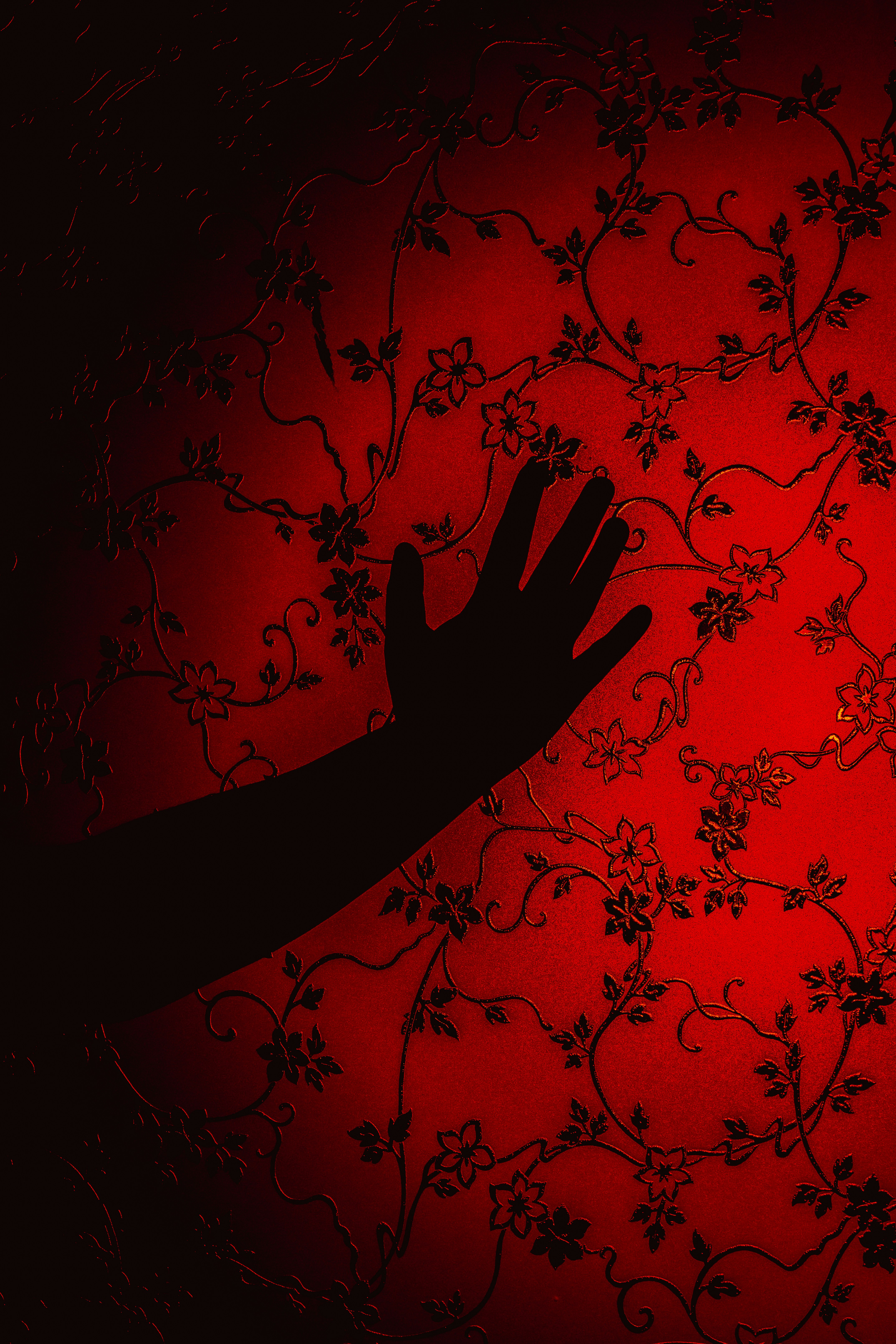 Photo by jahan_photobox