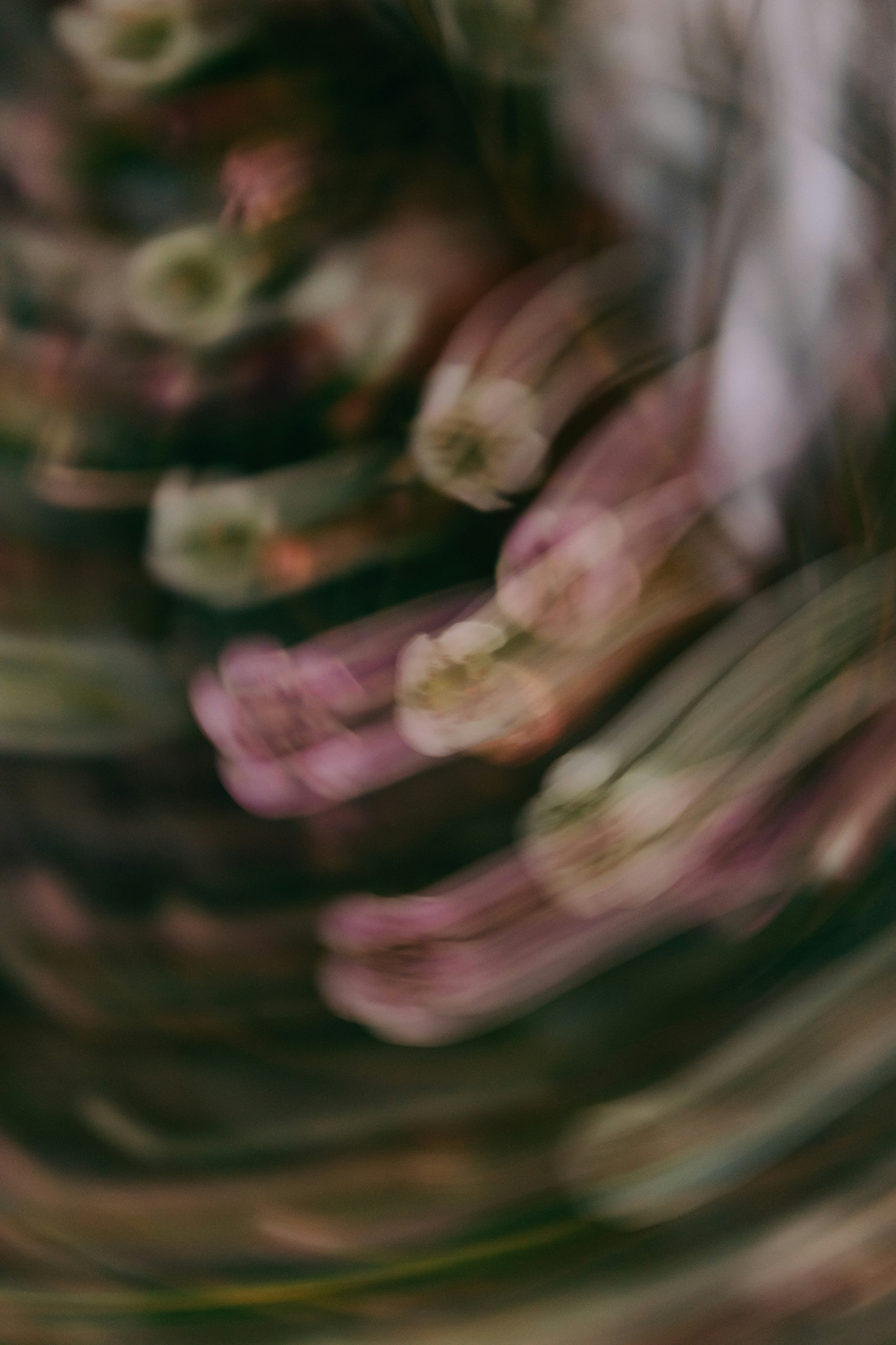 Photo by unclpenguin