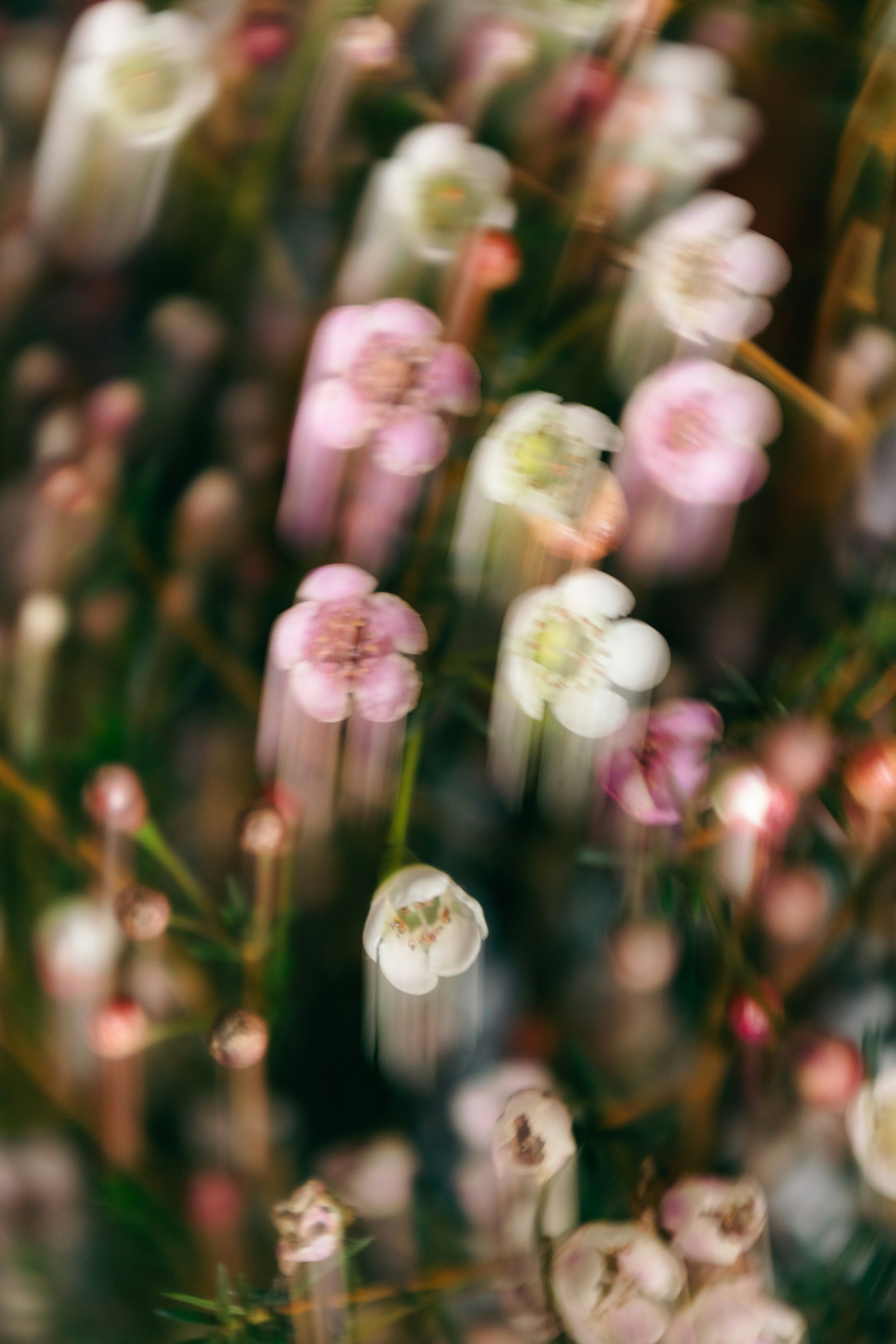 Photo by unclpenguin