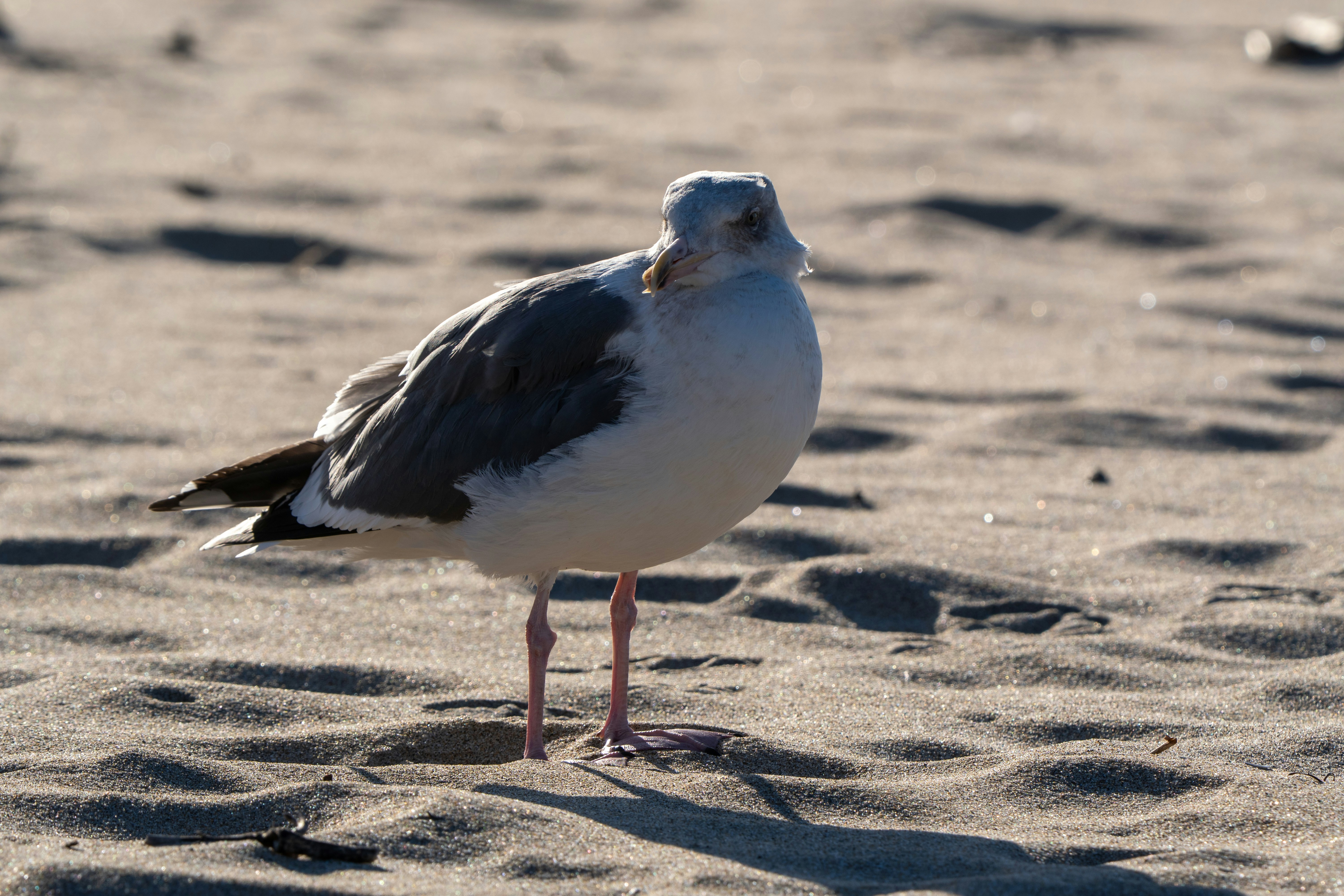 Photo by zacharia_17