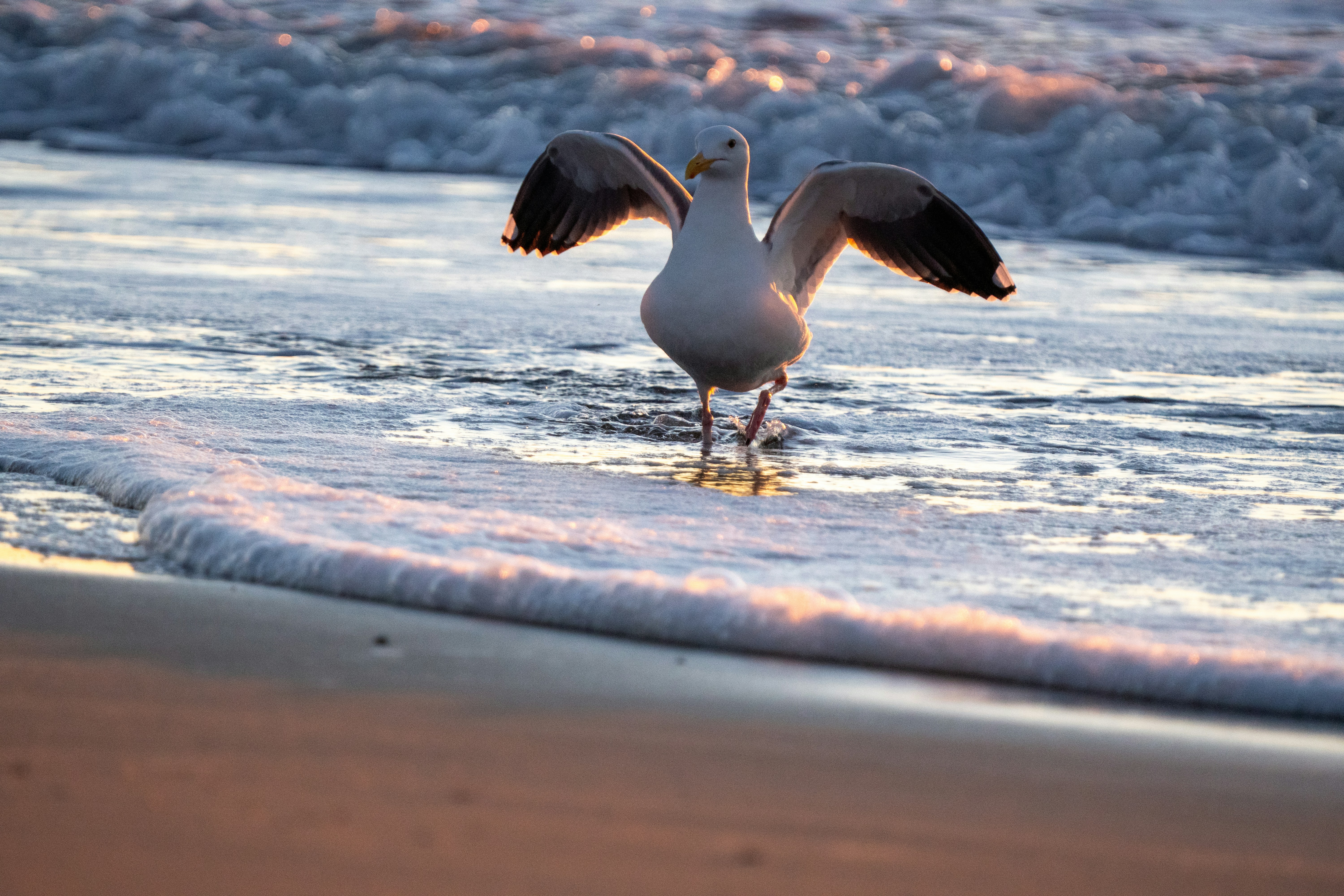 Photo by zacharia_17