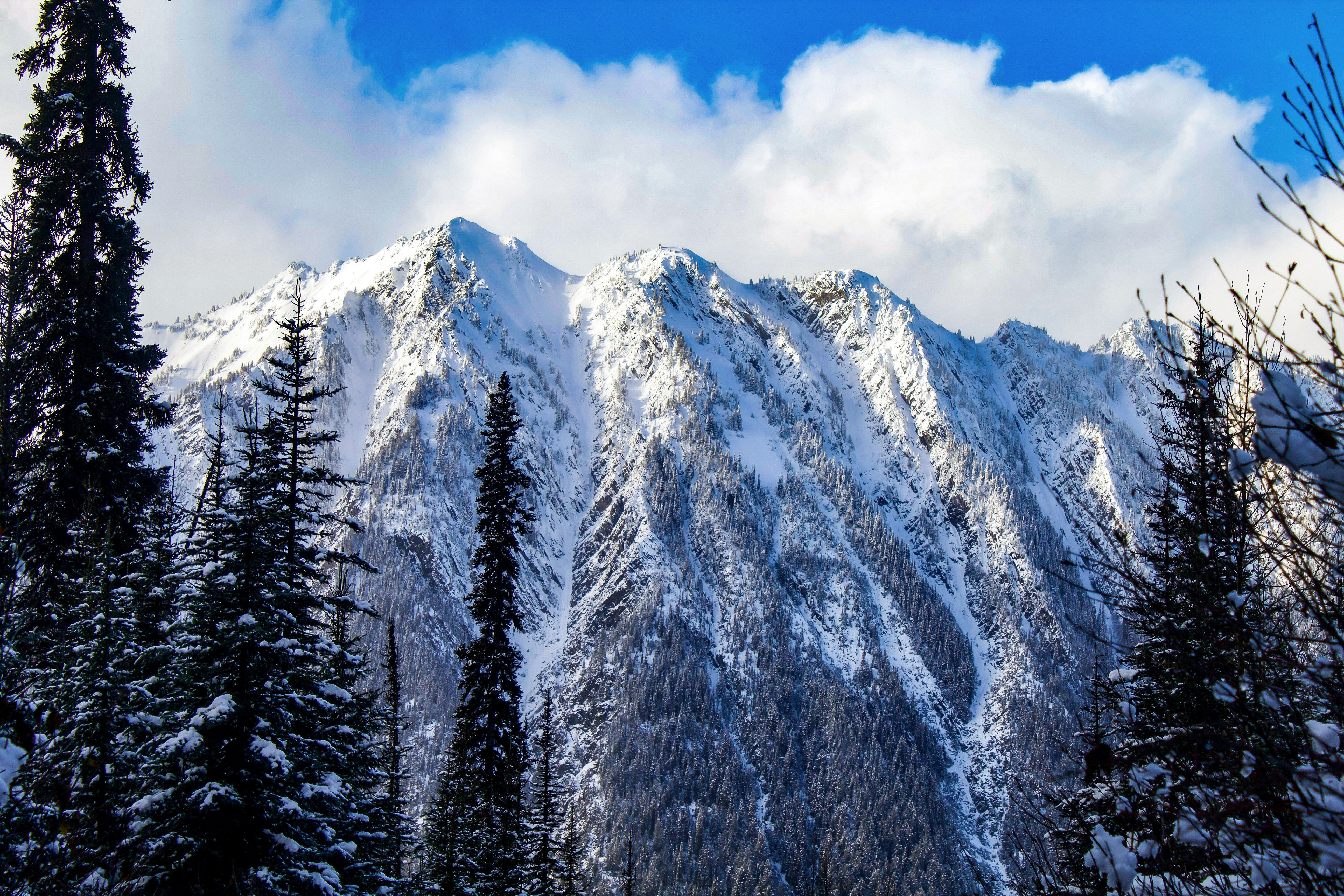 Photo by bishoy_kaldas