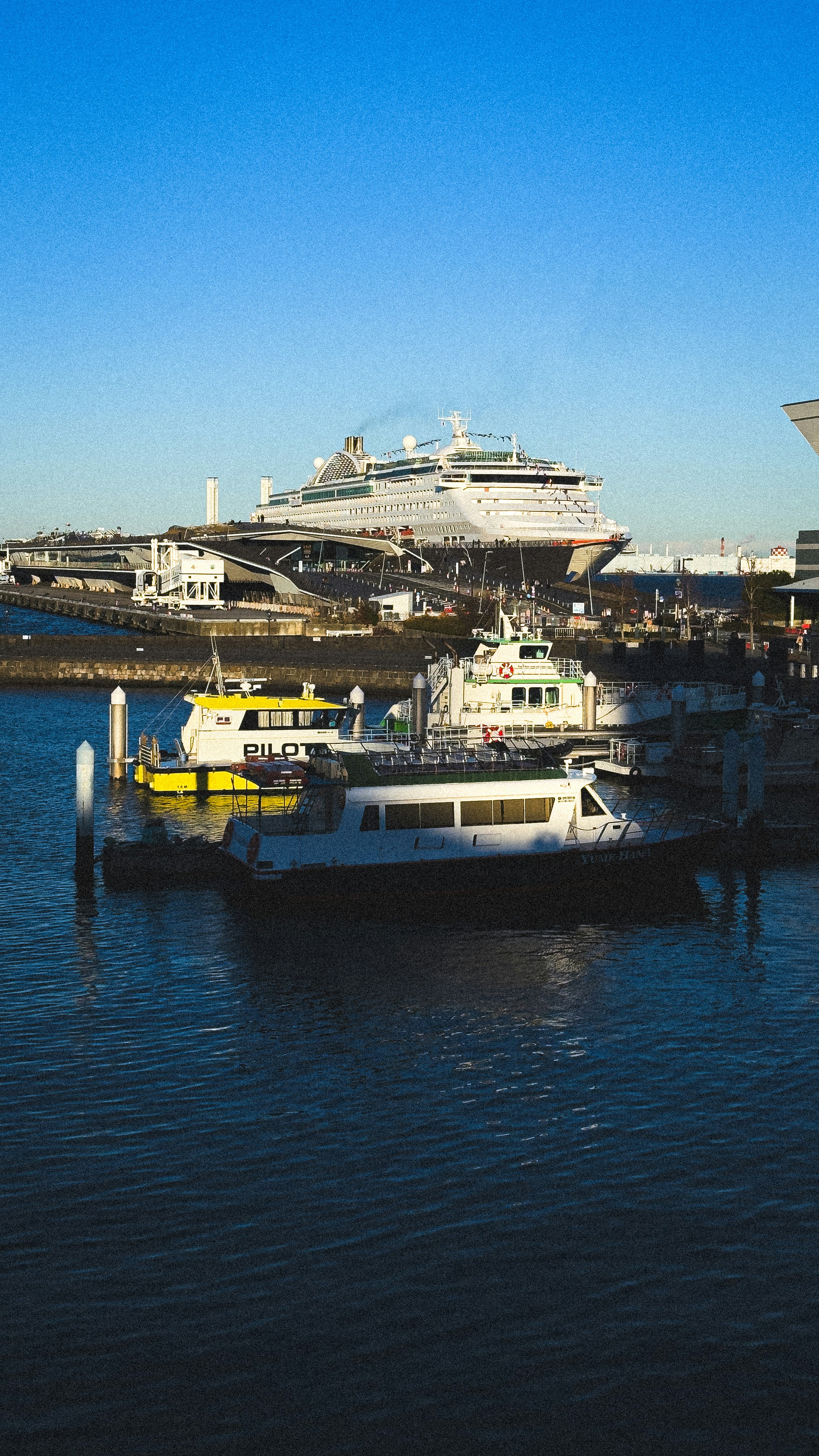 Large cruise ship docked near smaller boats in harbor.