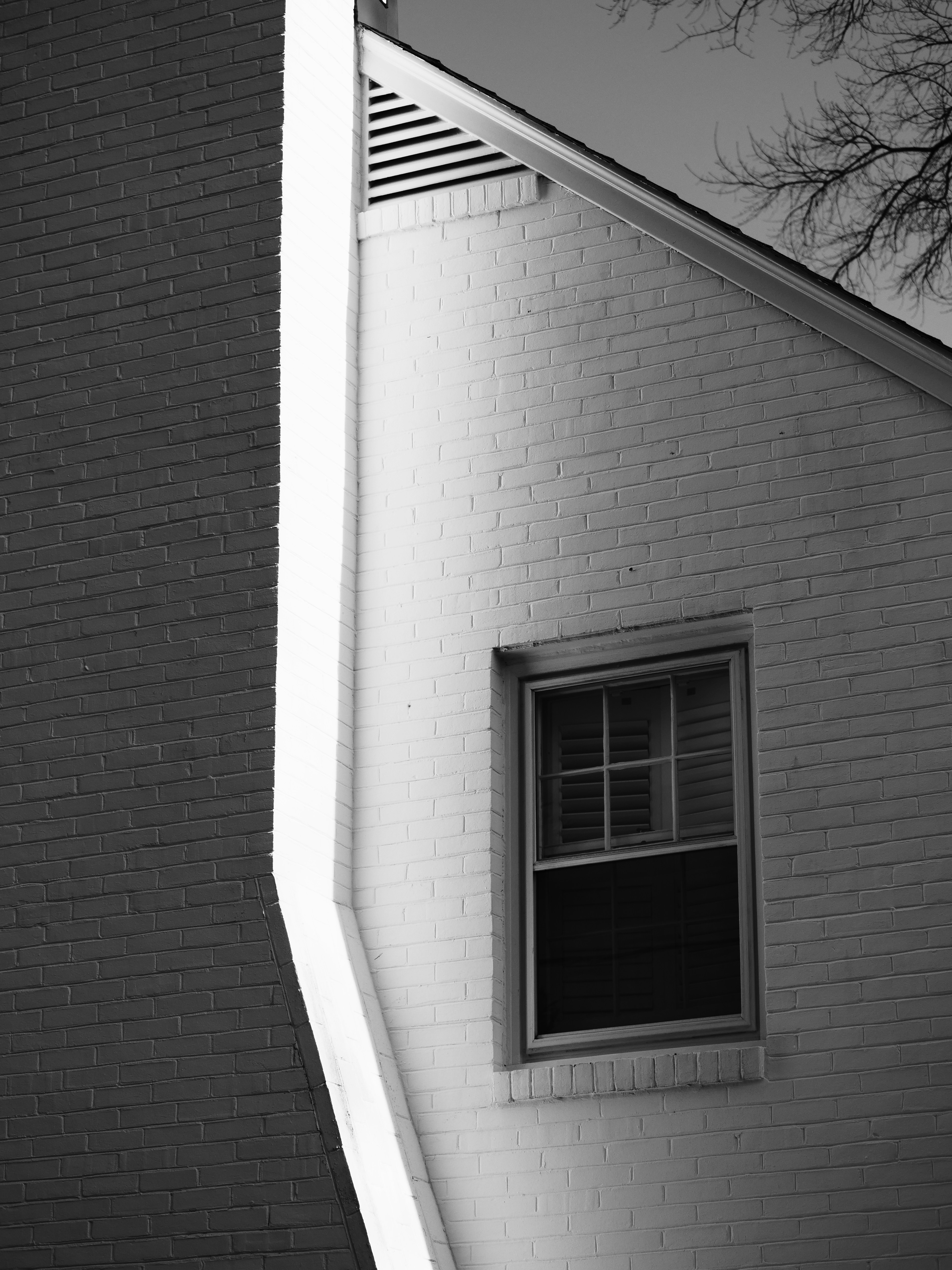 Photo by sschusterphotoart