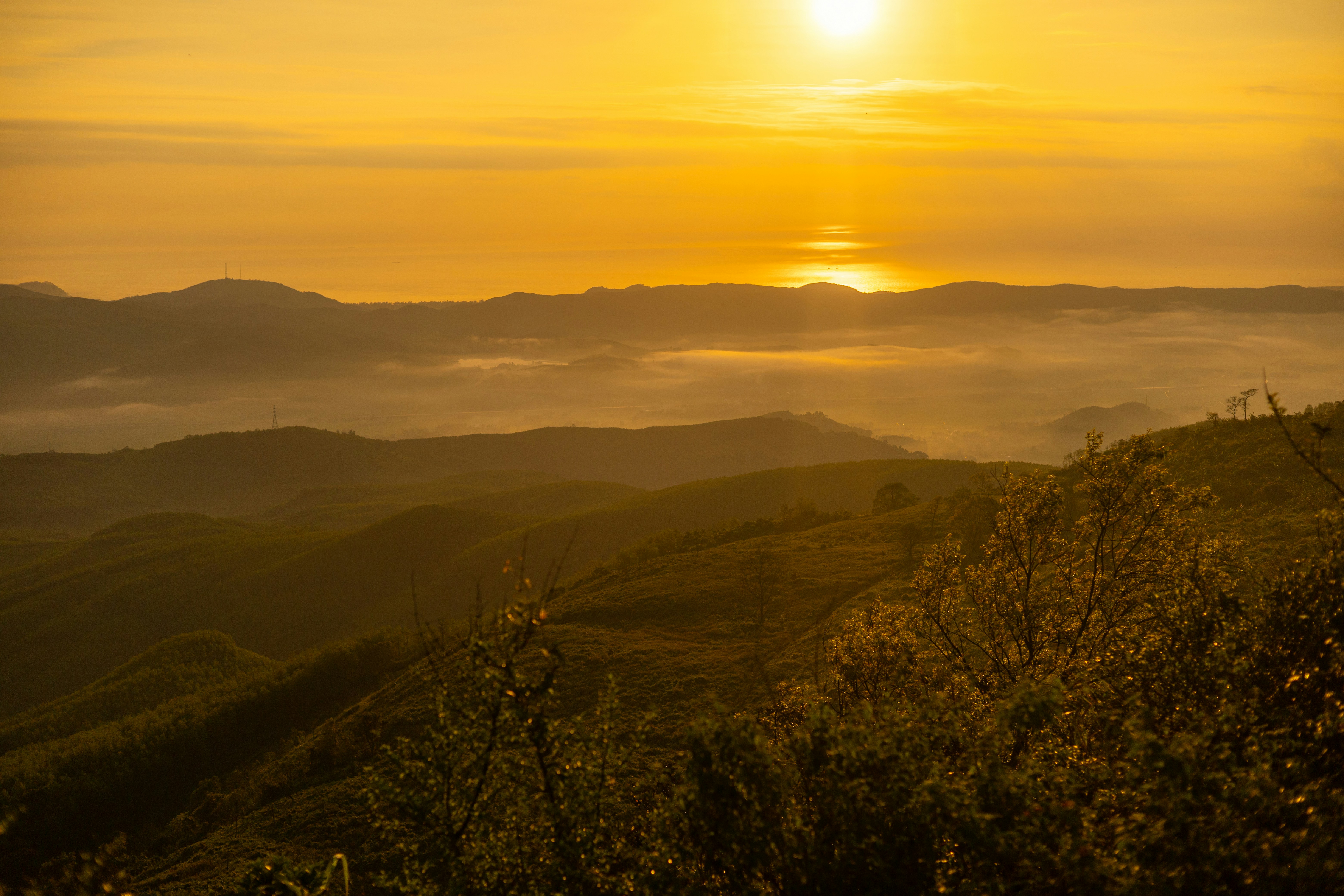 Photo by minhtamdoan