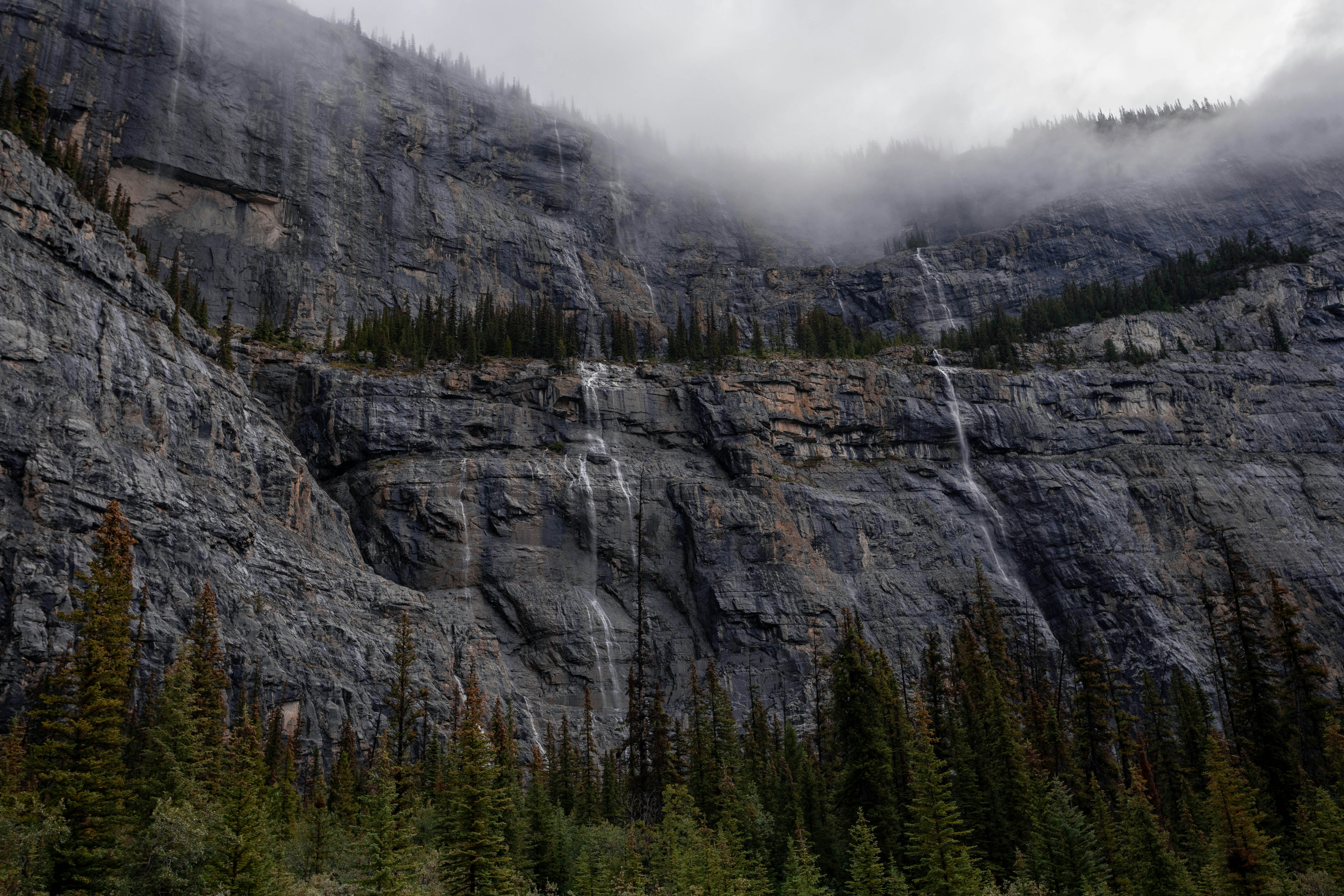 Waterfalls cascade down a rocky mountain face with trees.