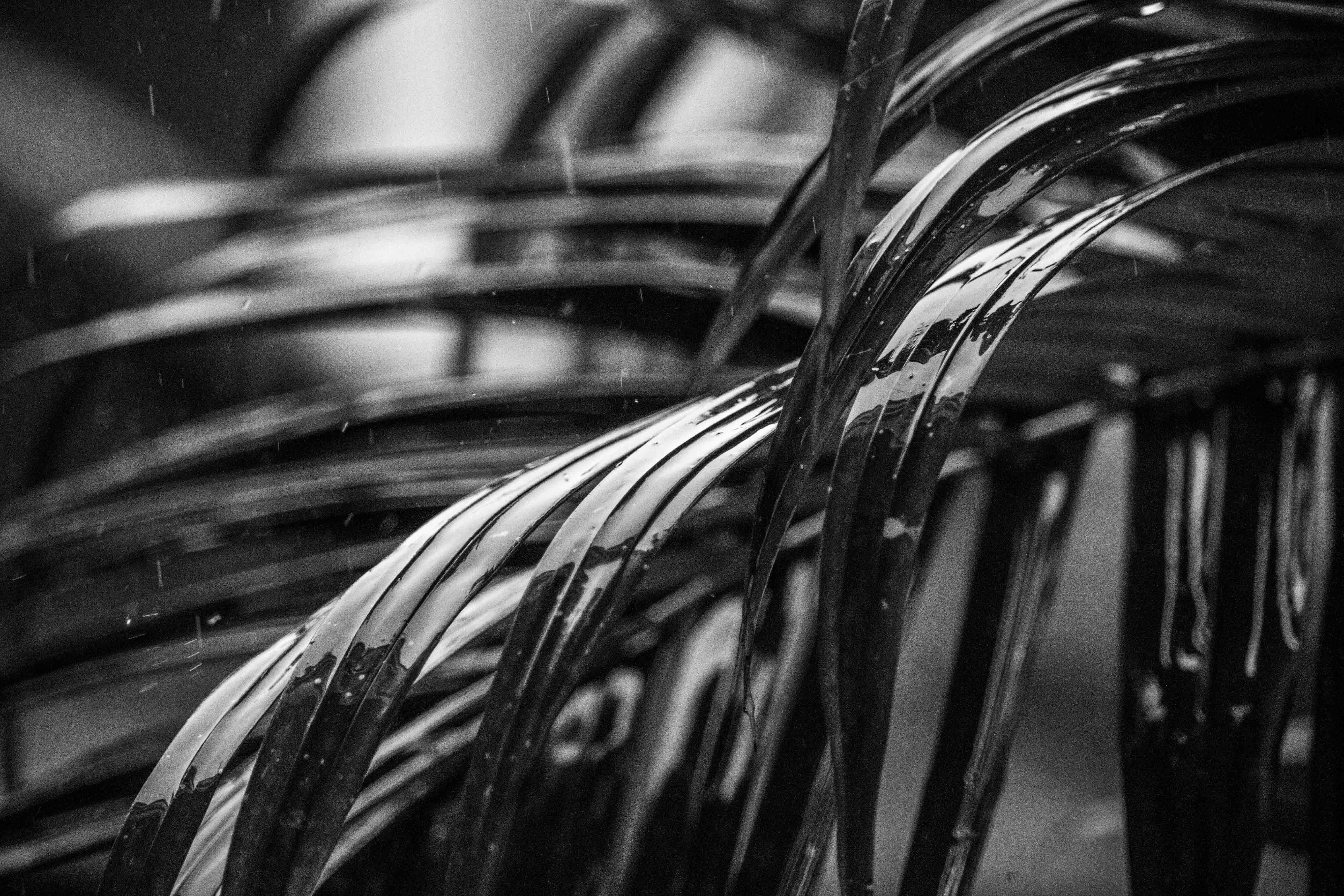 Photo by camilamarinf