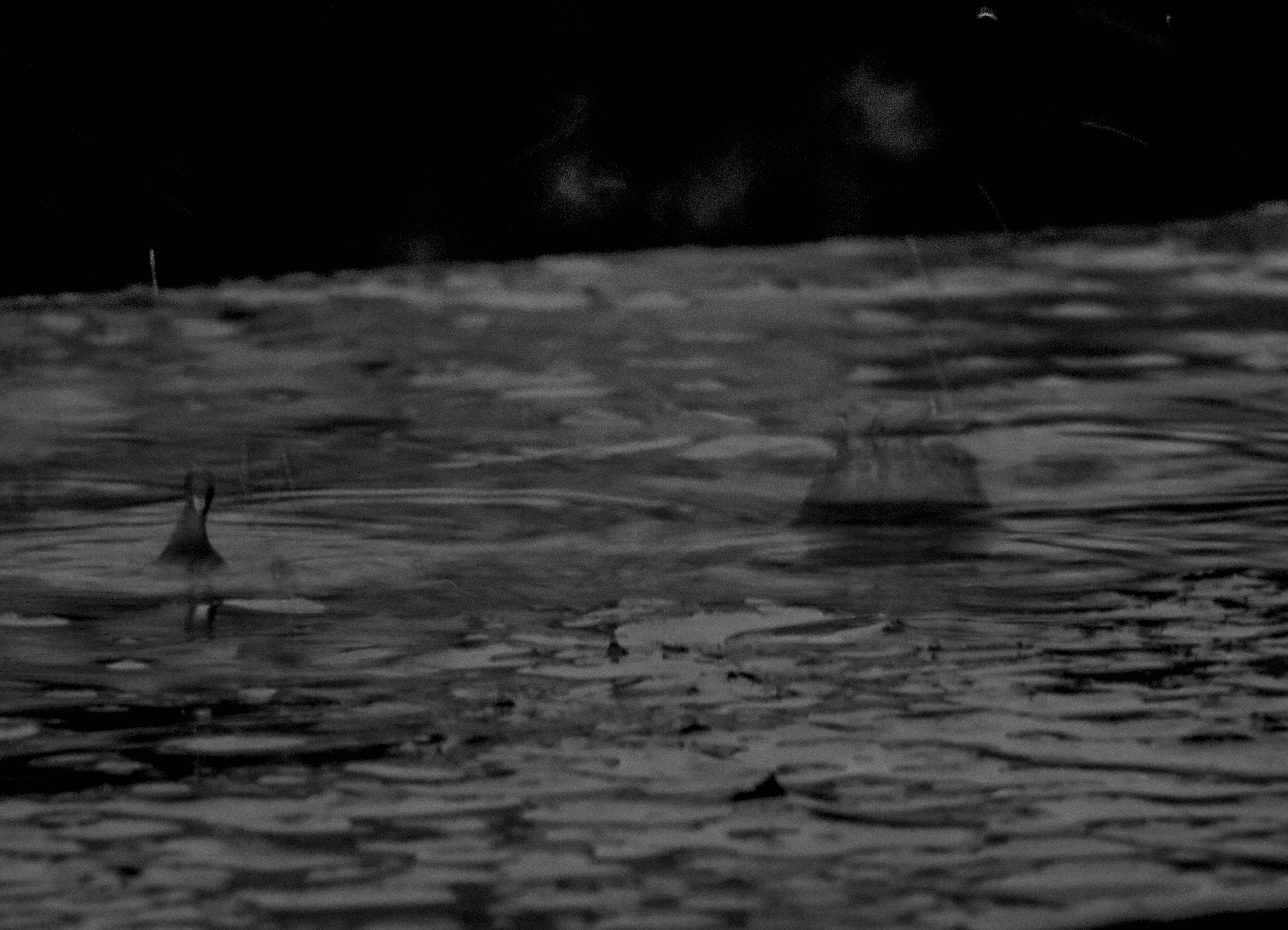 Photo by camilamarinf