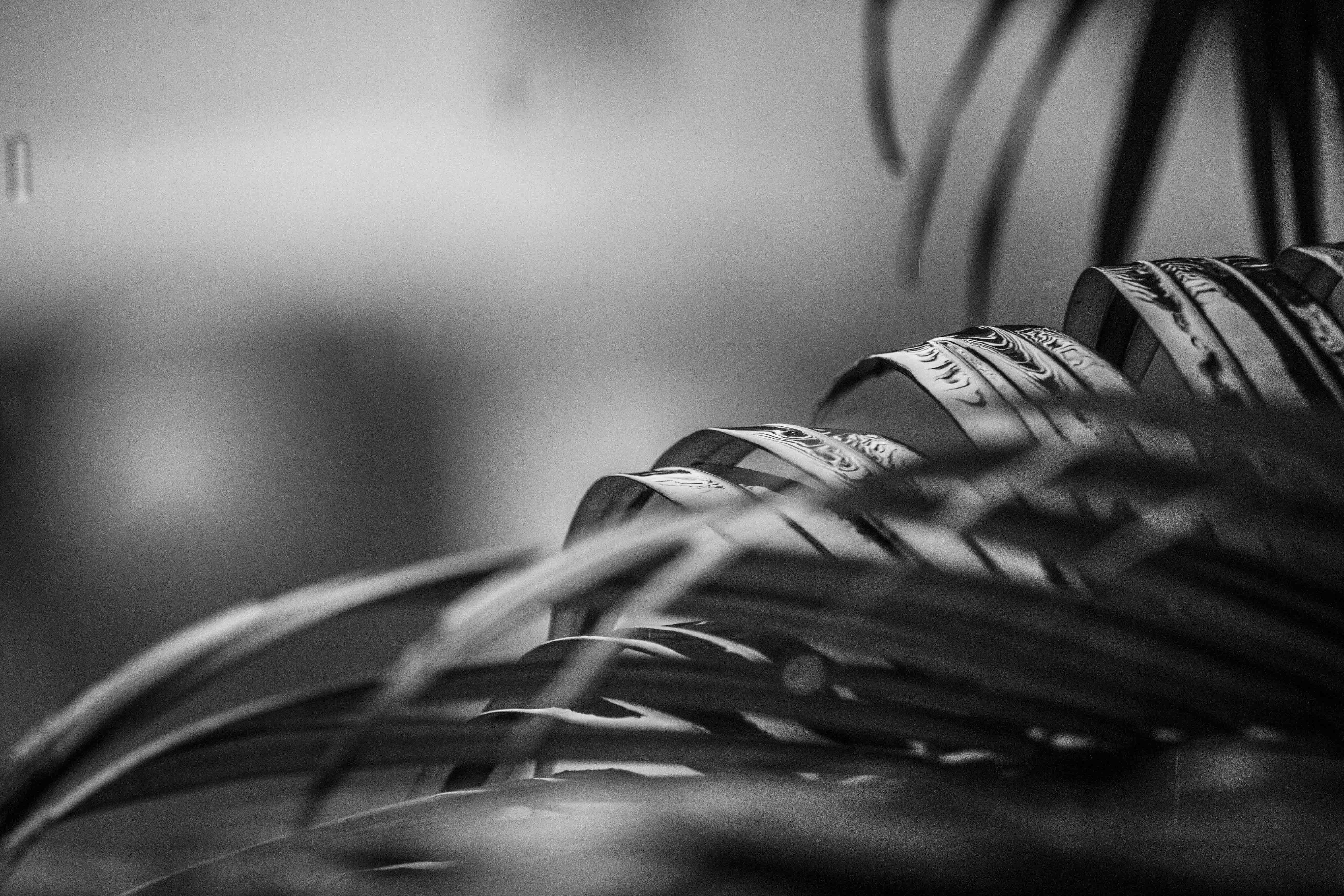 Photo by camilamarinf