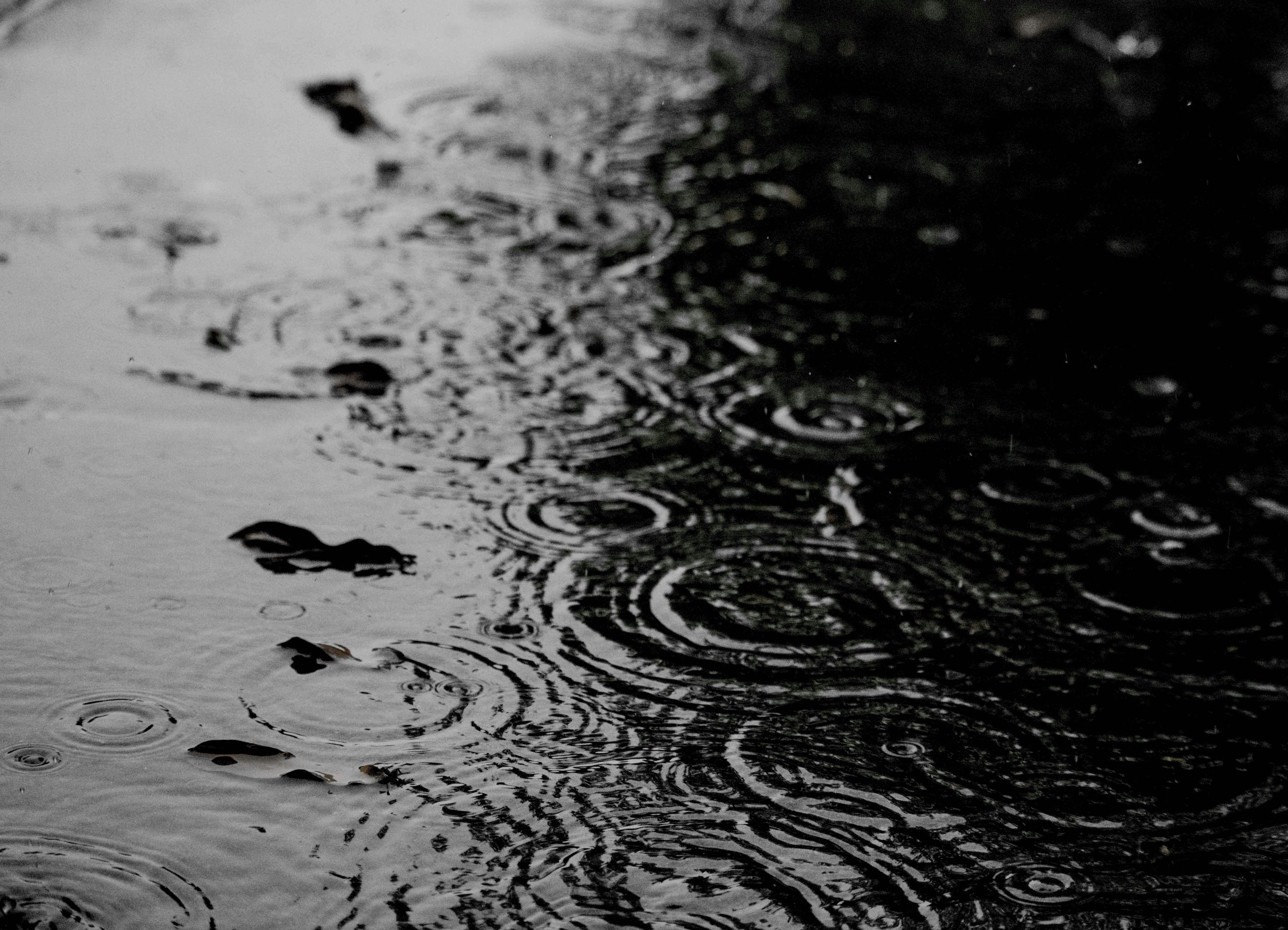 Photo by camilamarinf