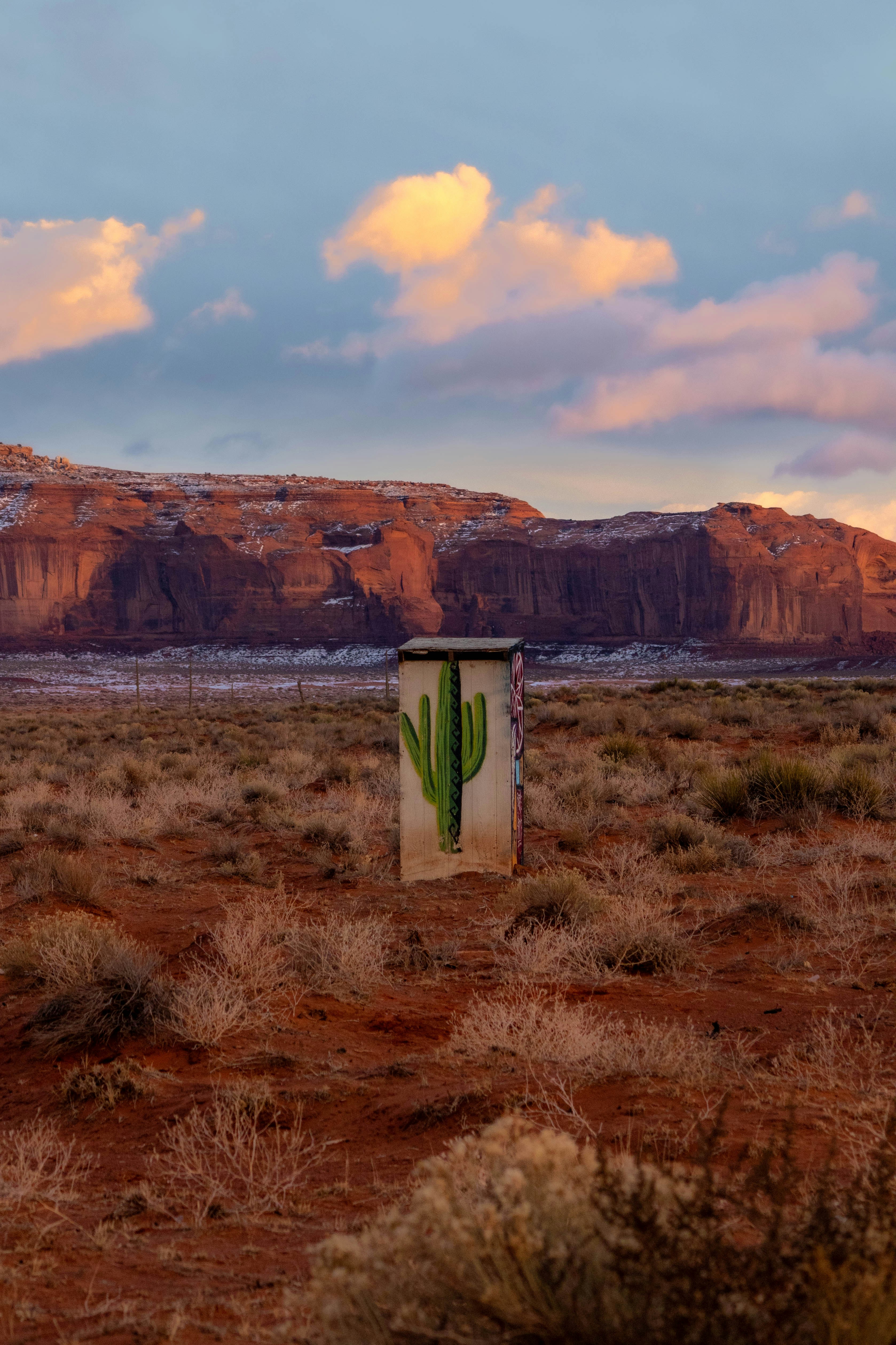 A painted cactus on a structure in a desert landscape