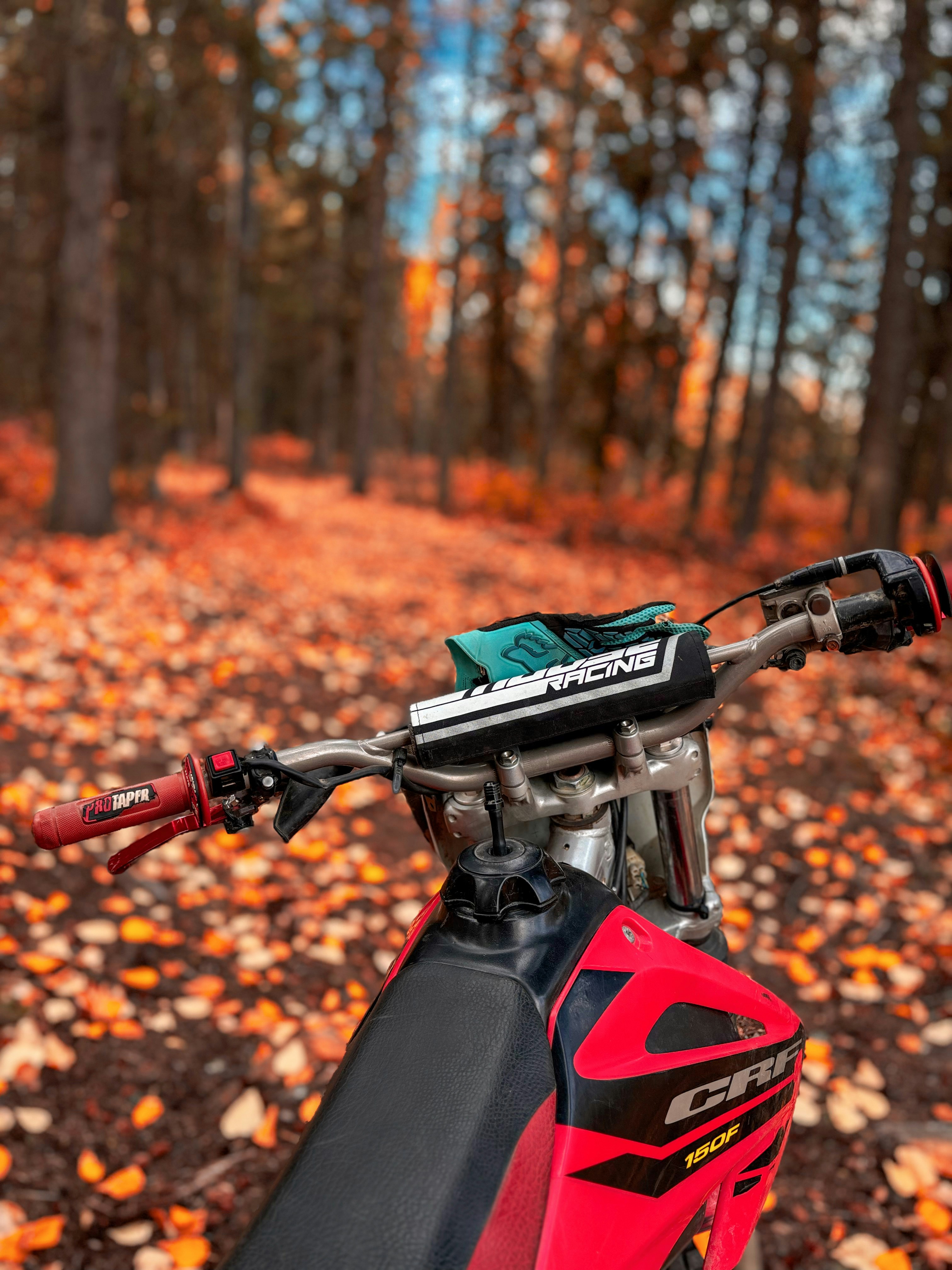 Moto de cross, garée sur un sentier forestier couvert de feuilles.