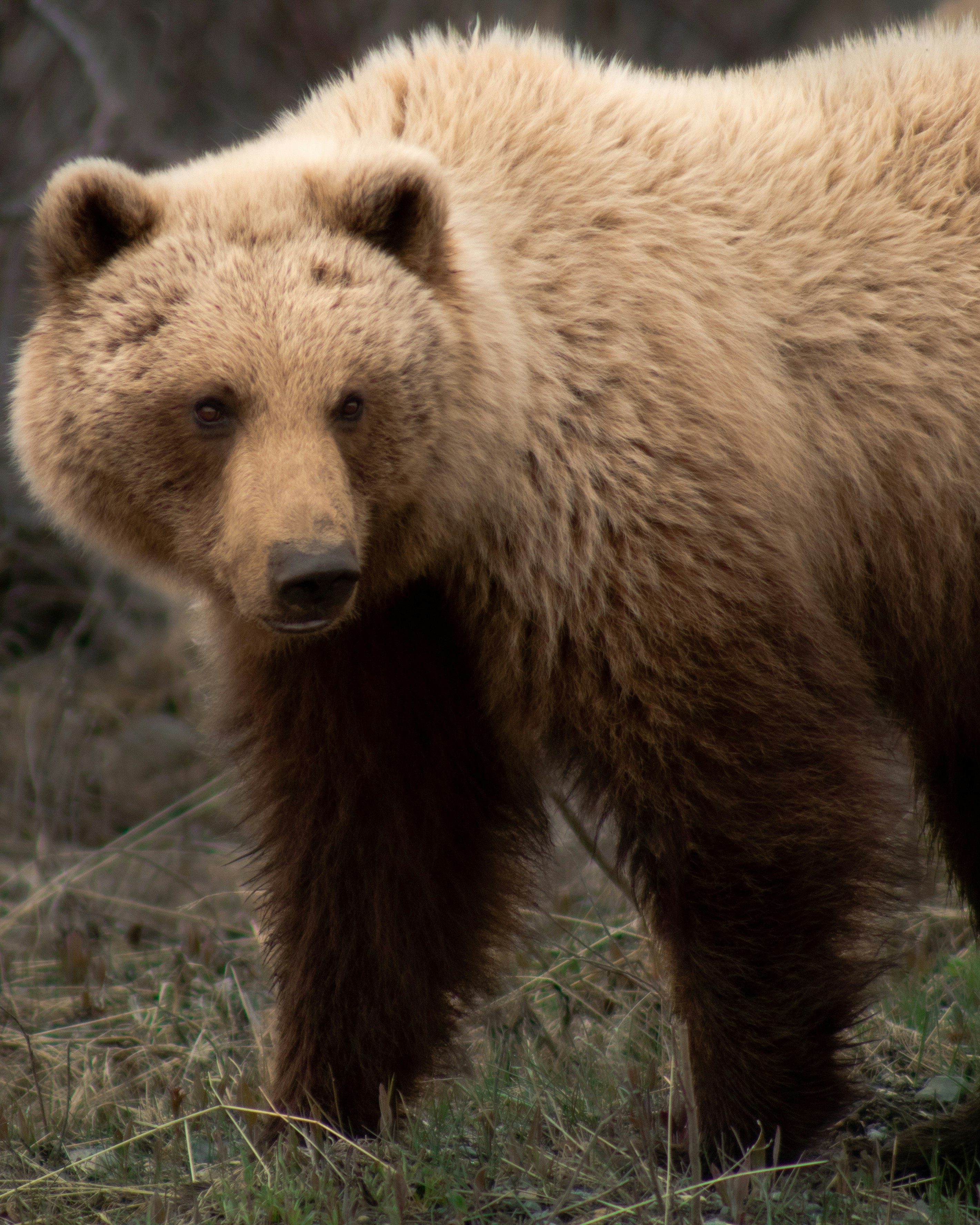 Photo by joshuabehunin