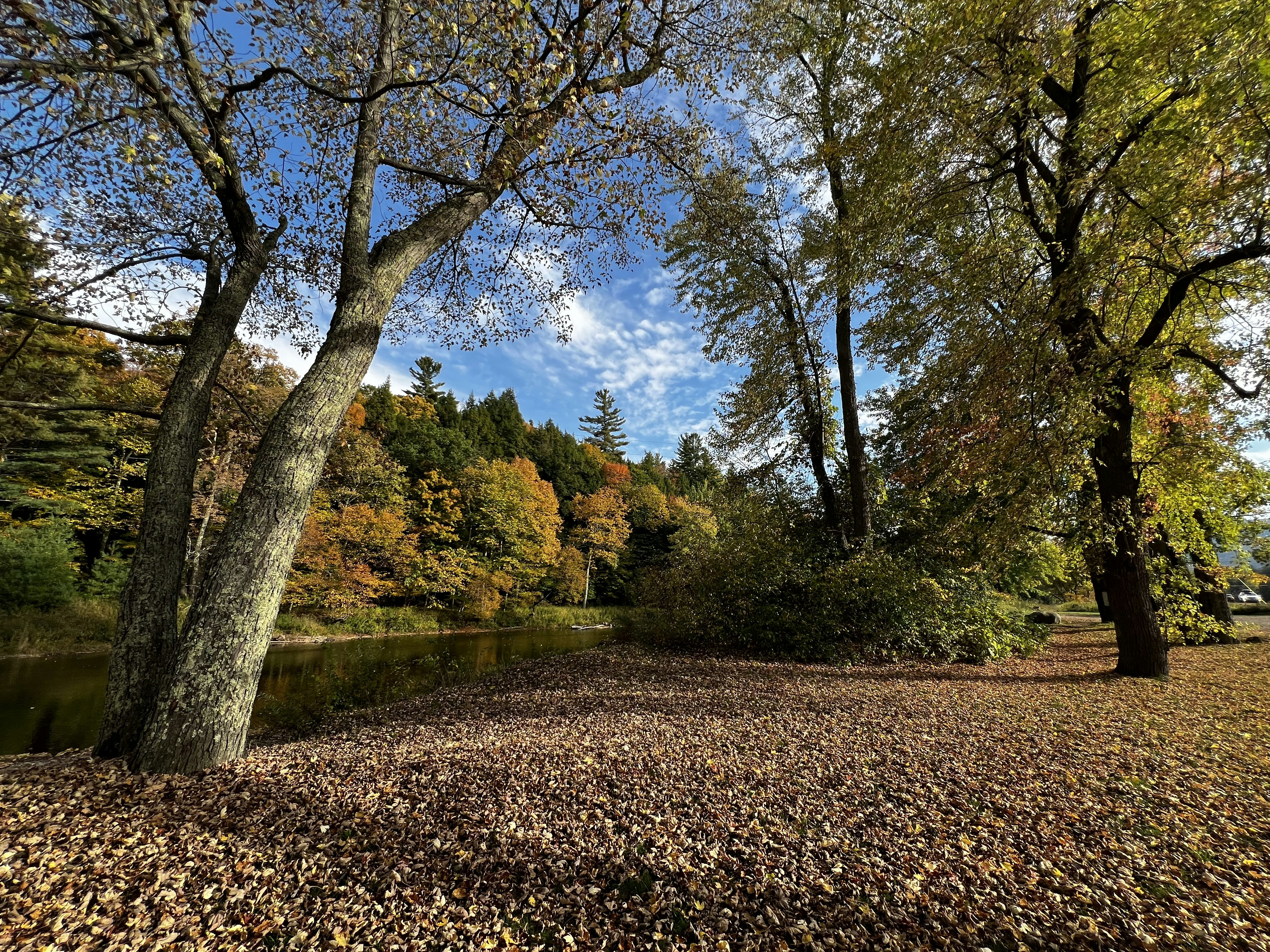 Photo by evelinehtzel26