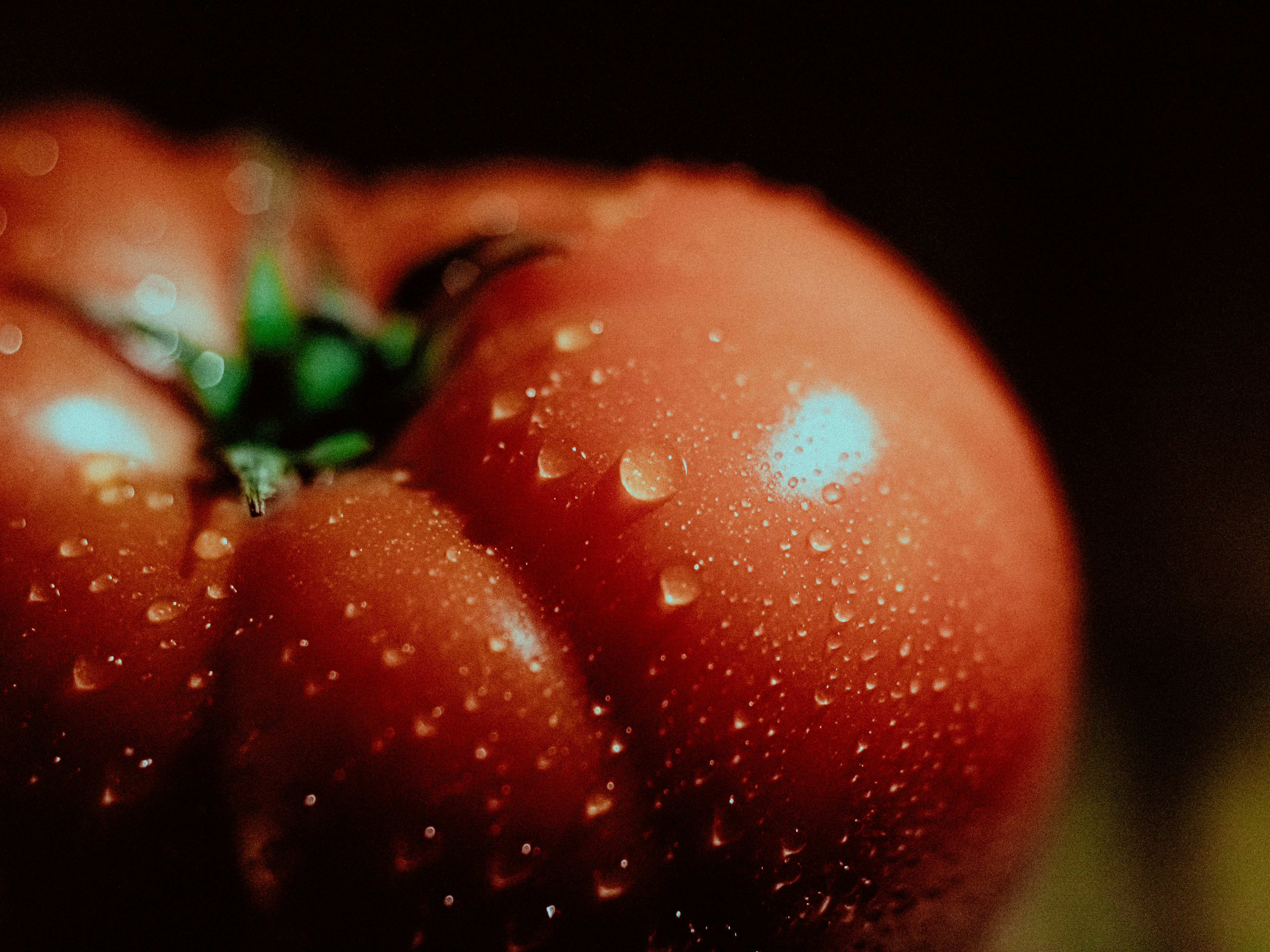 A ripe red tomato covered in water droplets.