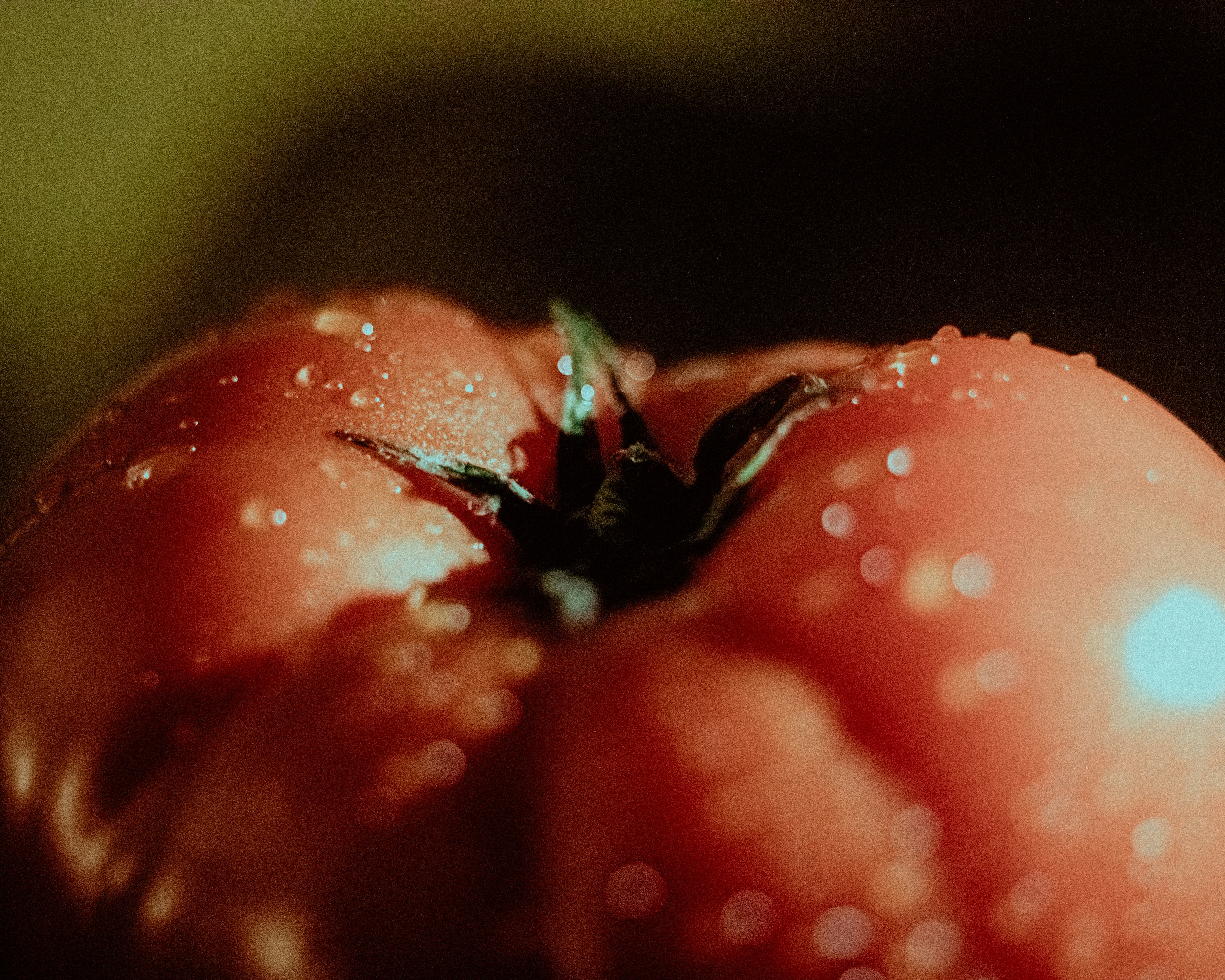 Photo by linusbelanger