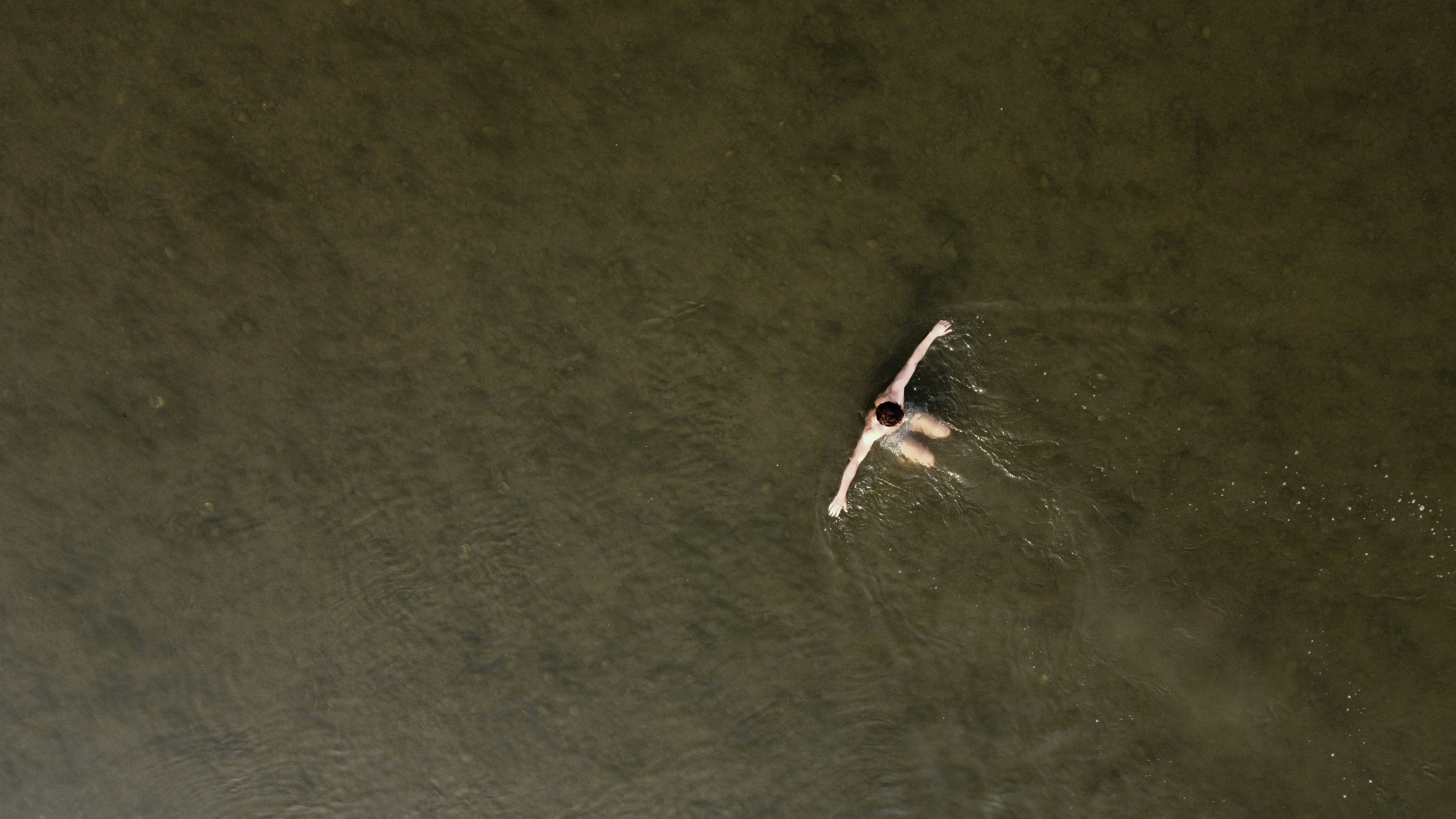 Person swimming in a calm, dark body of water