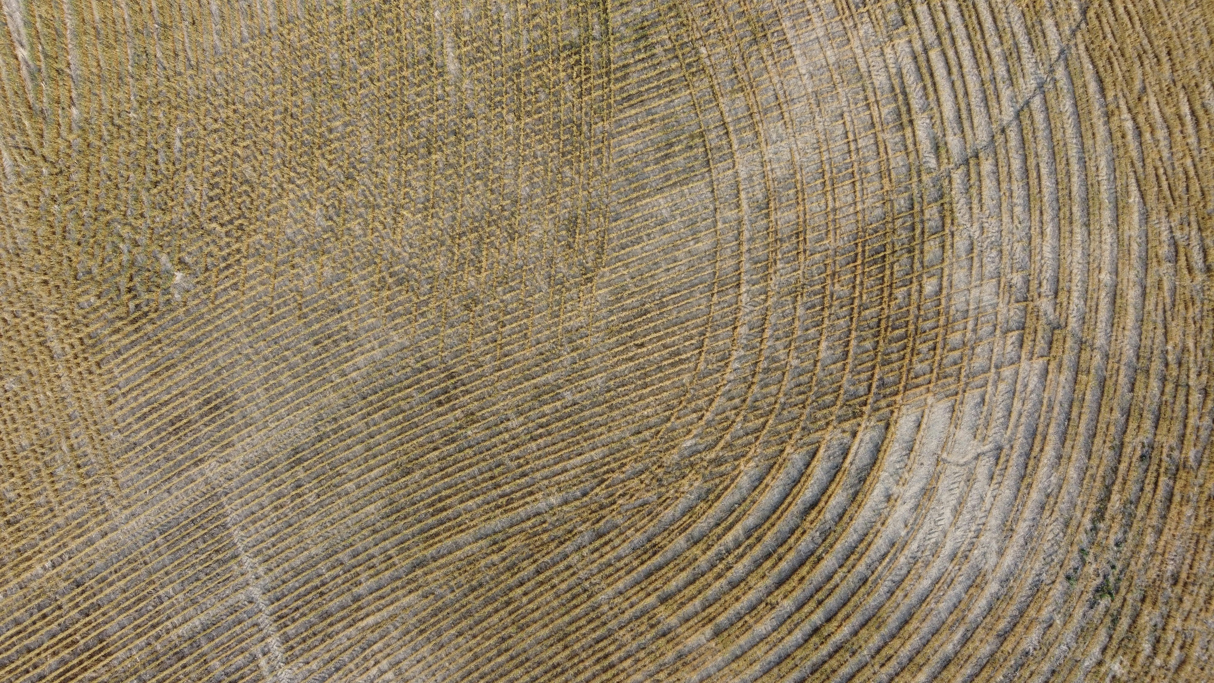 Photo by danielmiksha