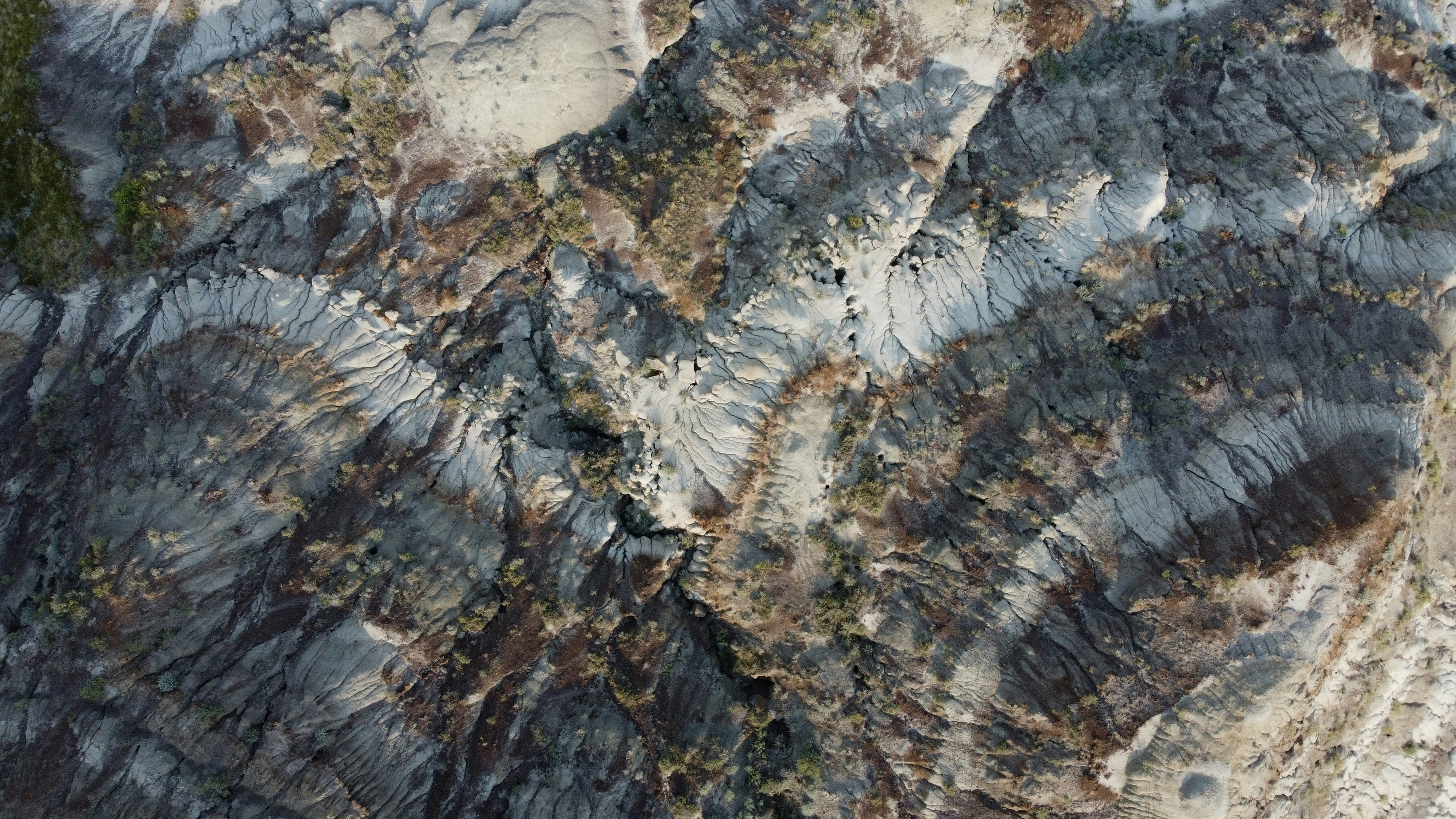 Photo by danielmiksha