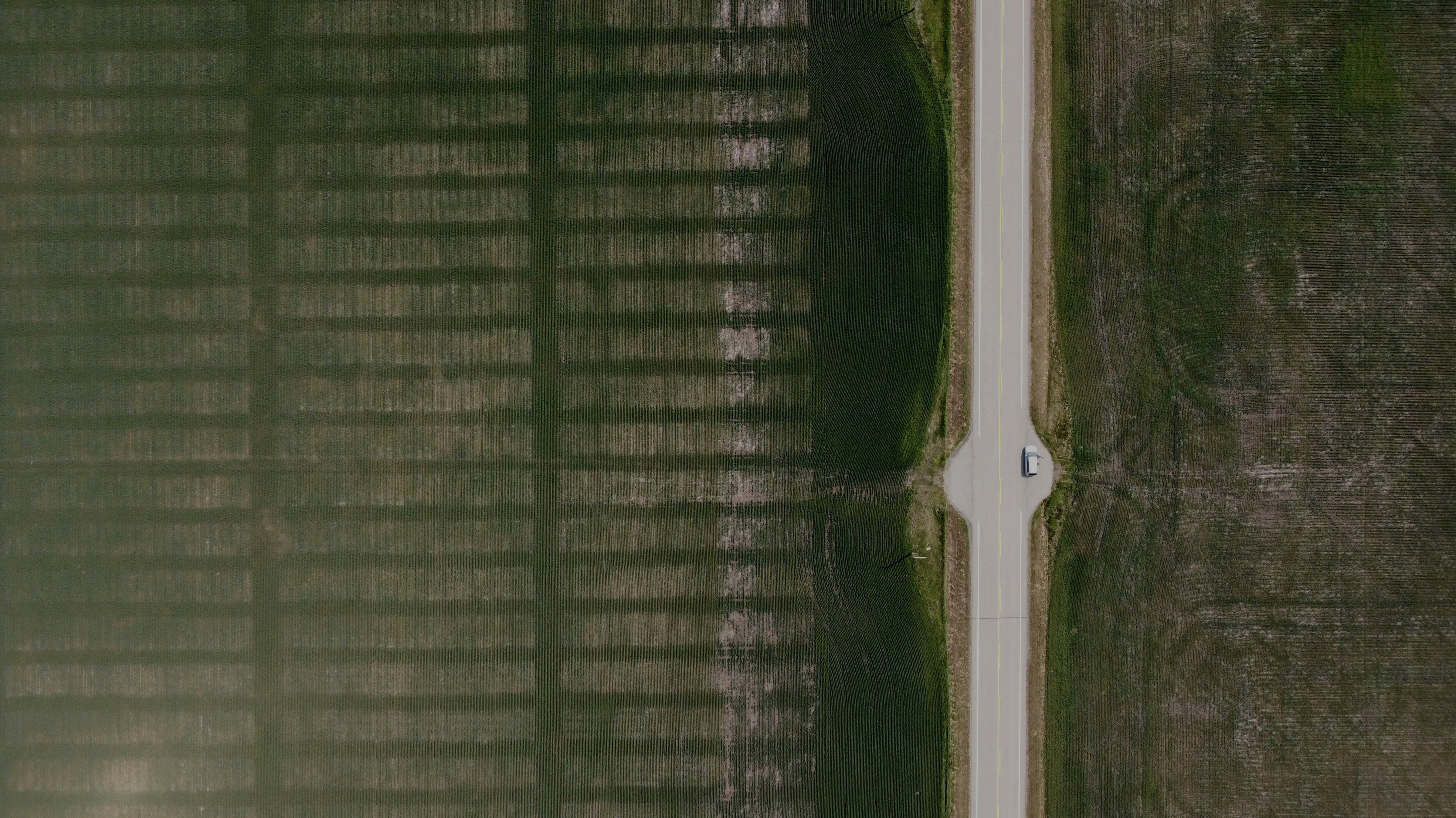 Photo by danielmiksha