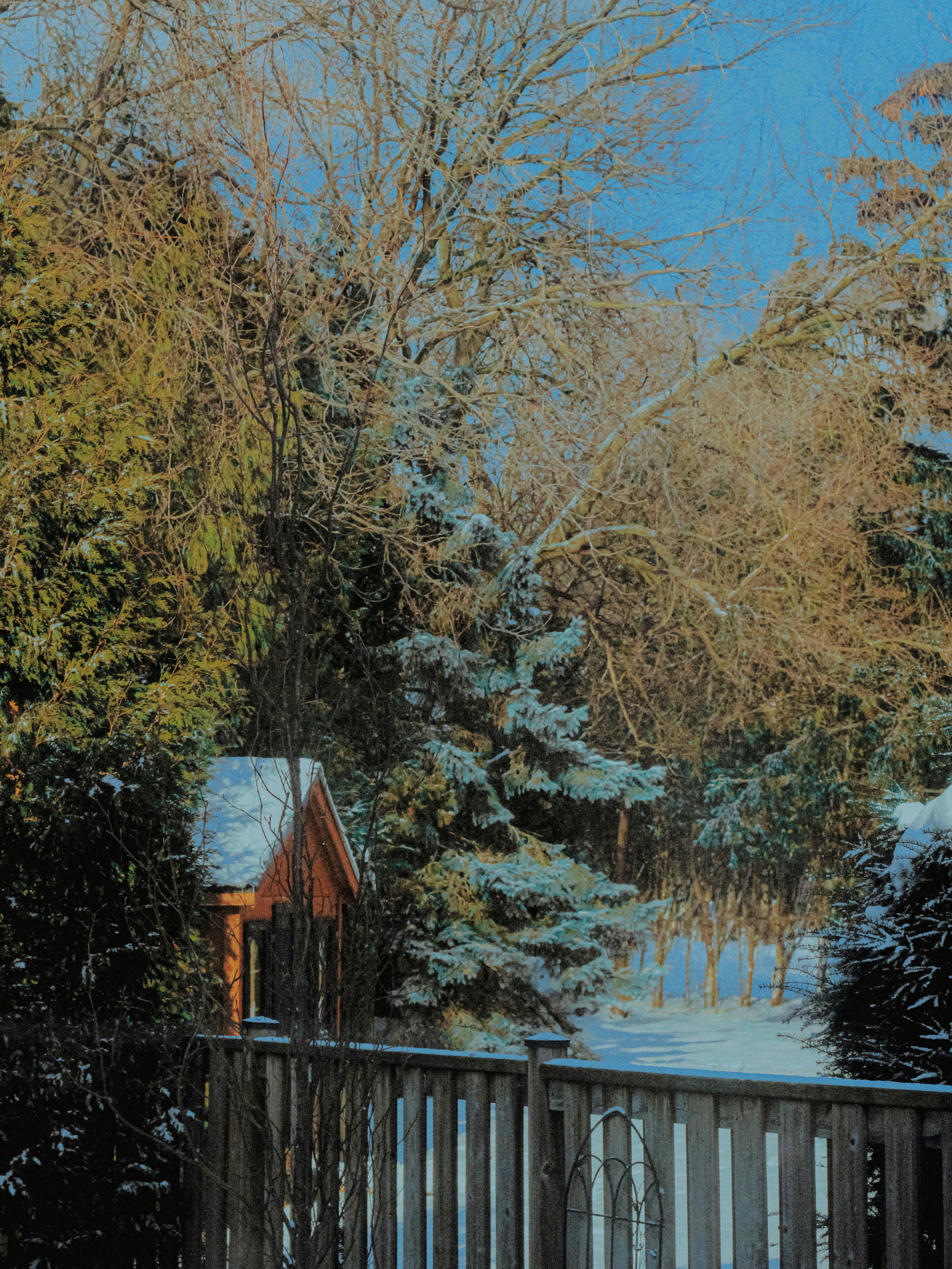 Photo by linusbelanger