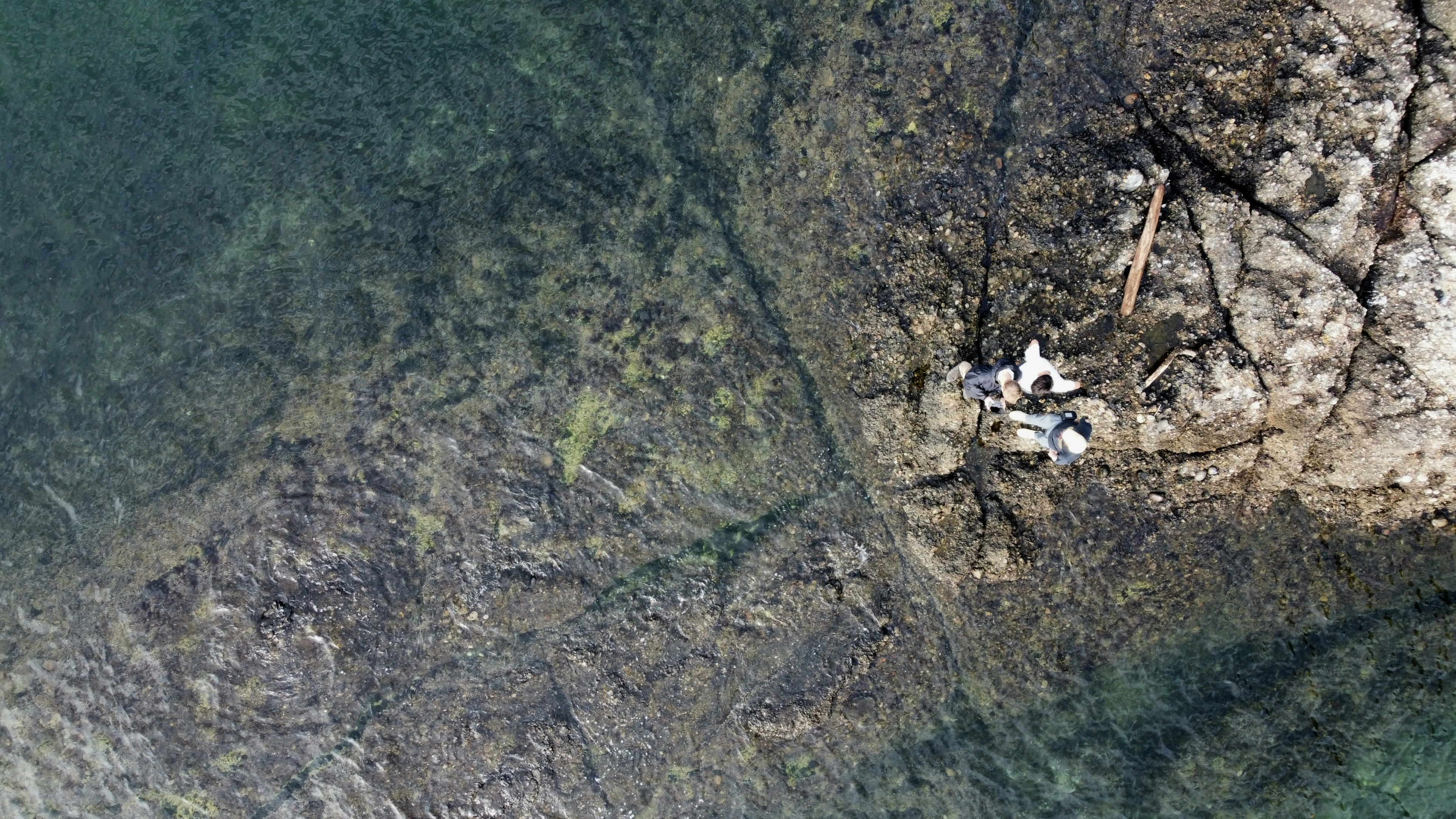 Photo by danielmiksha