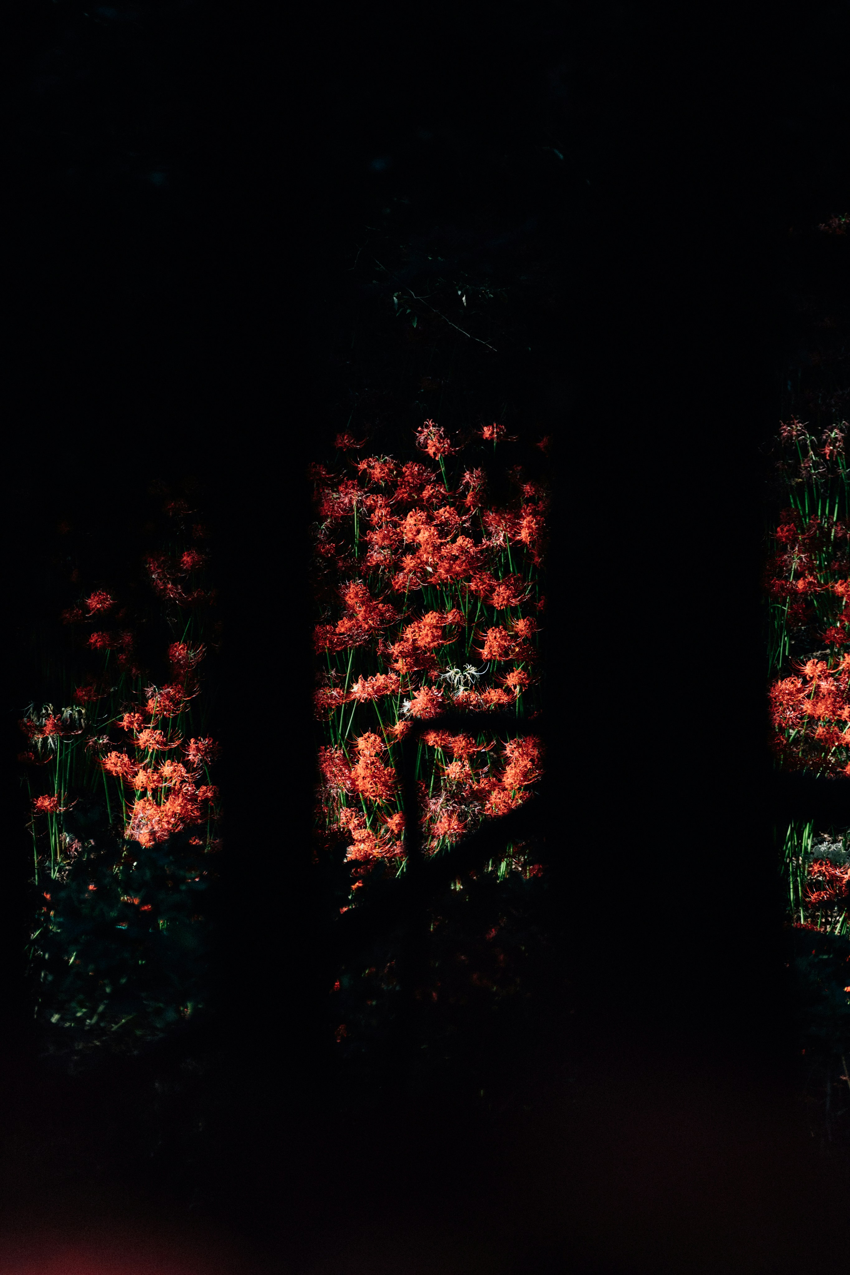 Photo by tsuyoshikozu