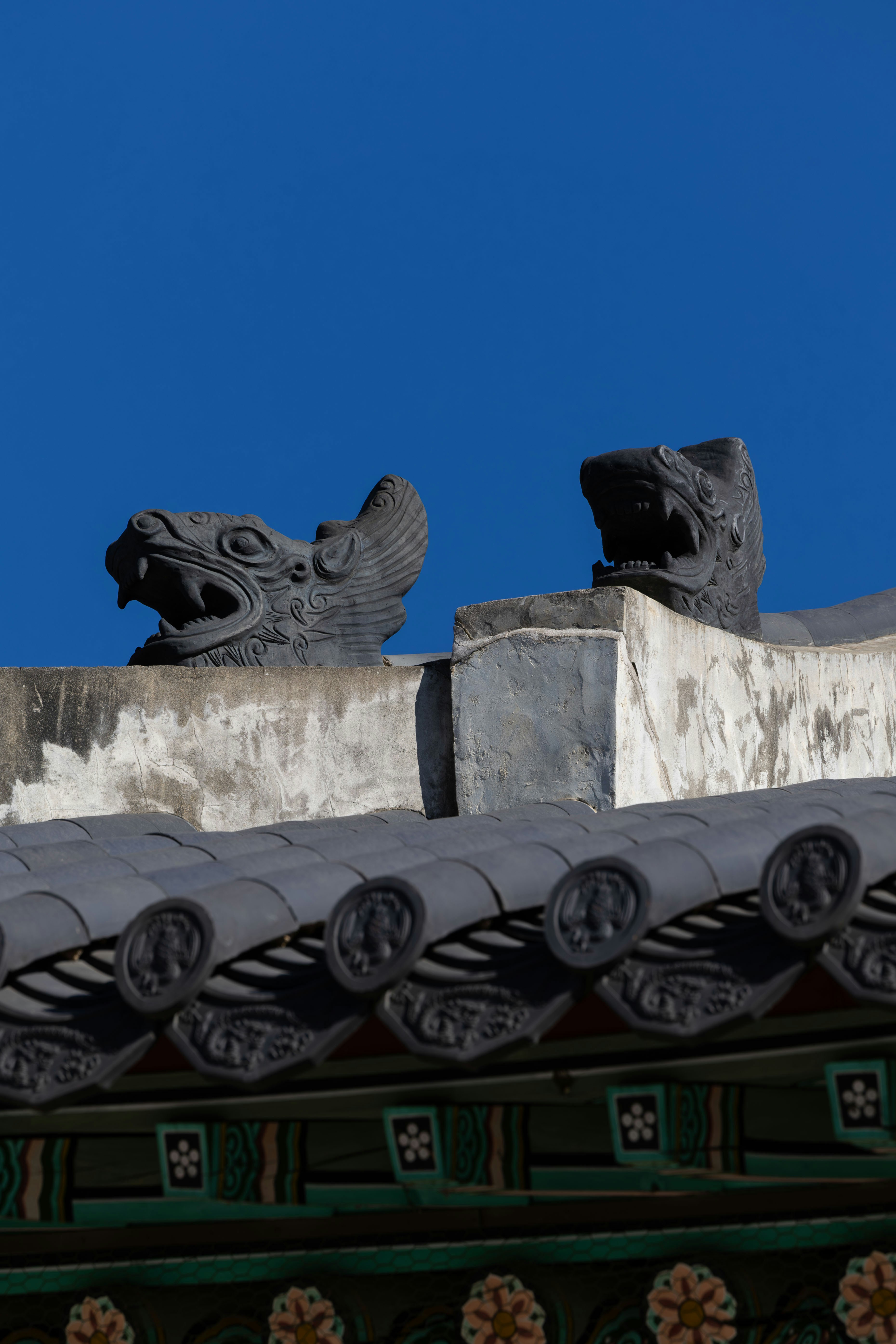 Photo by yangluhan091