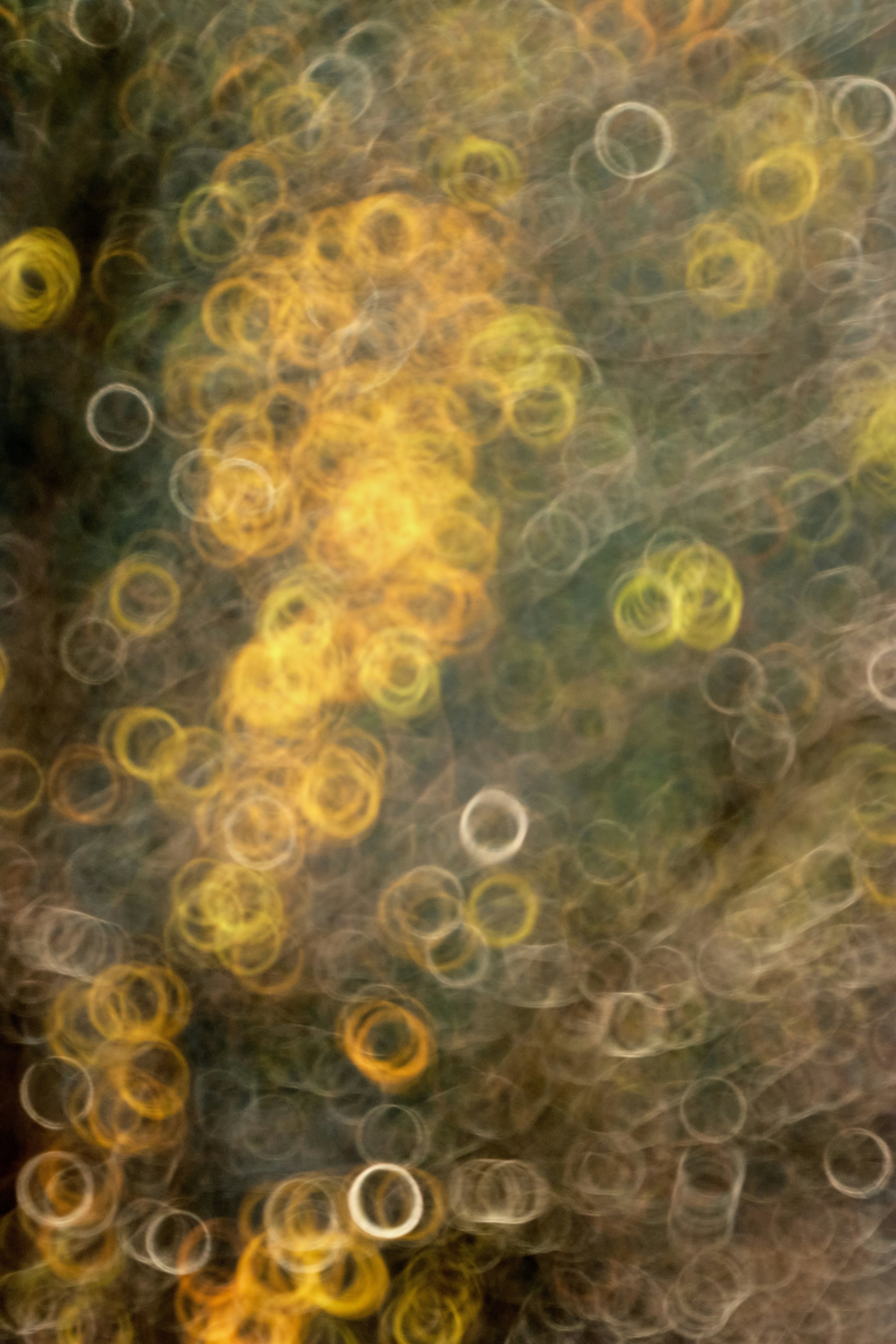 Abstract bokeh circles of yellow and white light
