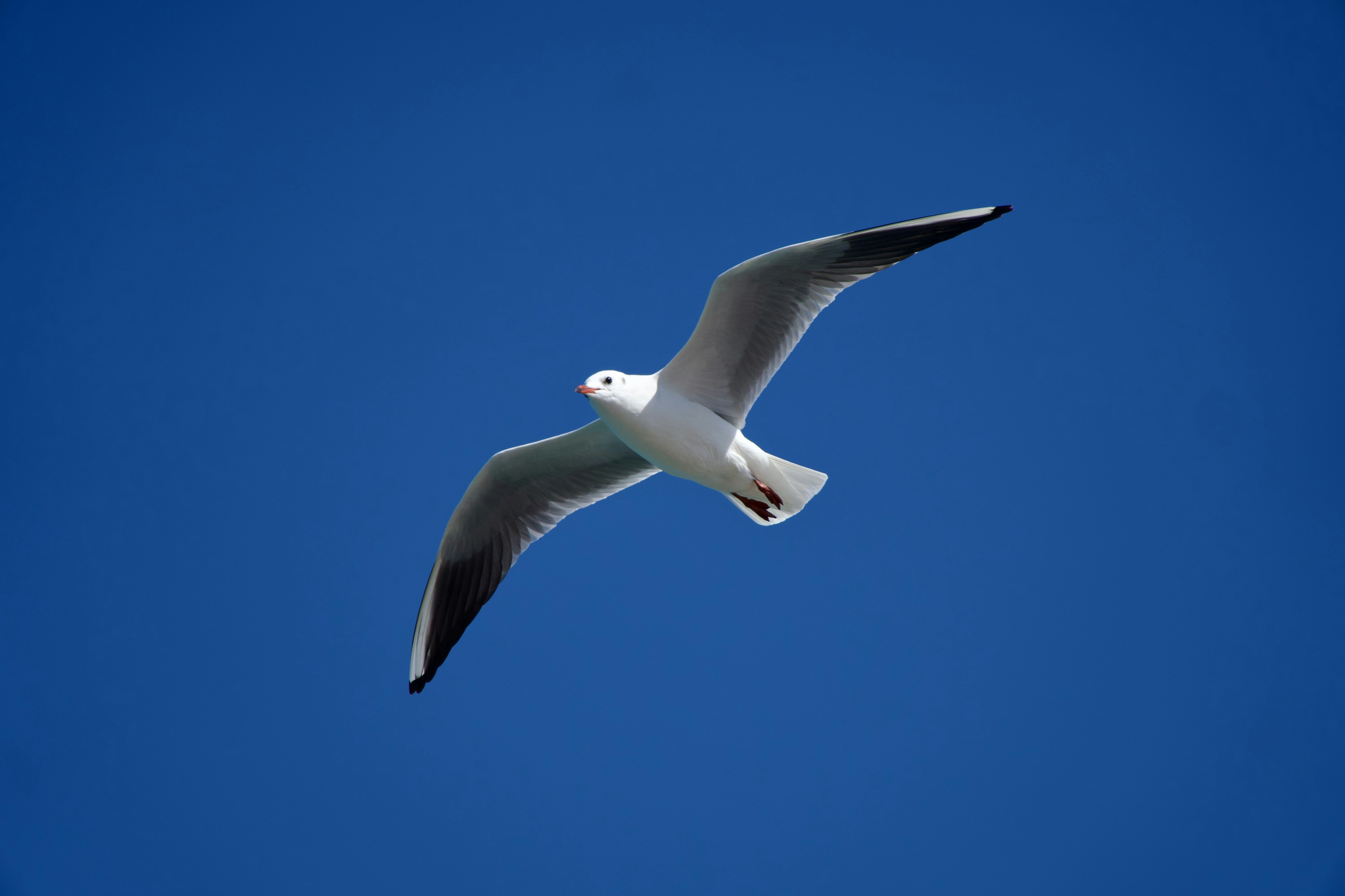 Photo by raghul_ayyasamy